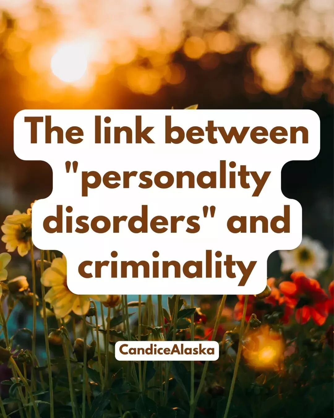 CWs sanism, ab*se mentions. 

The first of an ongoing series unpacking the link between &quot;personality disorders&quot; and criminality.

People with PD diagnoses are strongly correlated with causing harm, violence and even crime, especially cluste