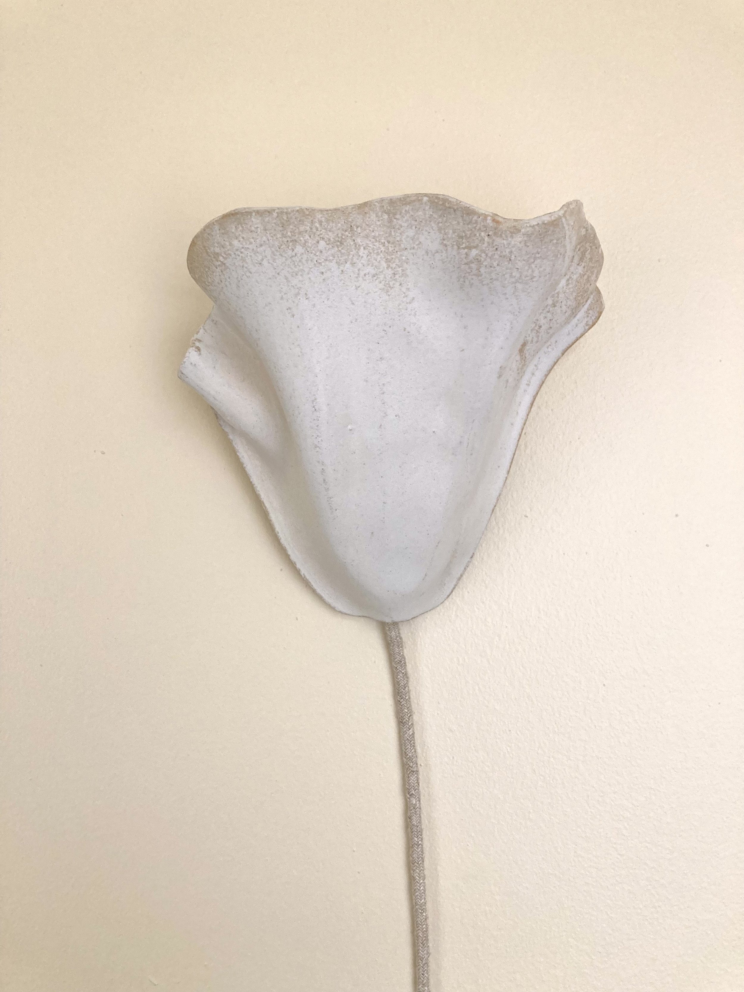Duo appliques murales fleur volage.jpeg