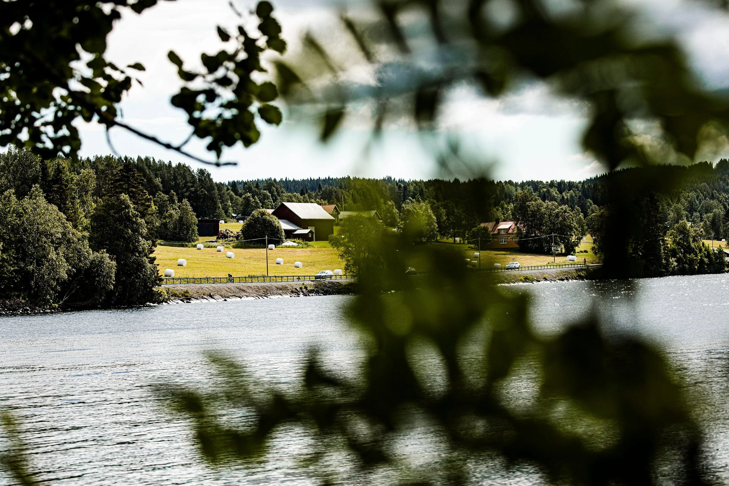2026_SWEDEN_arielwojciechowski.com-328337.jpg