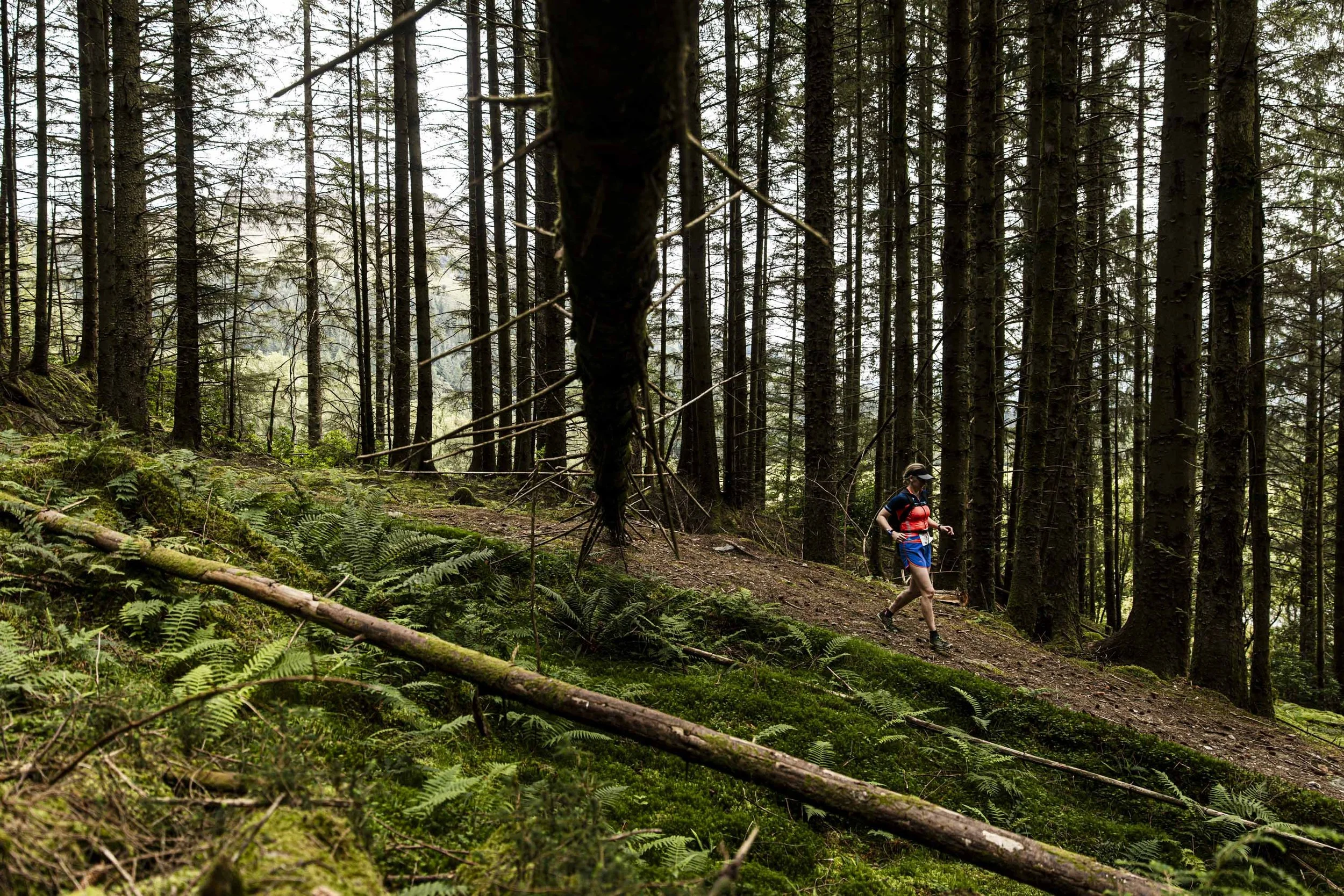 the restless_arielwojciechowski.com_2025-58182.JPG