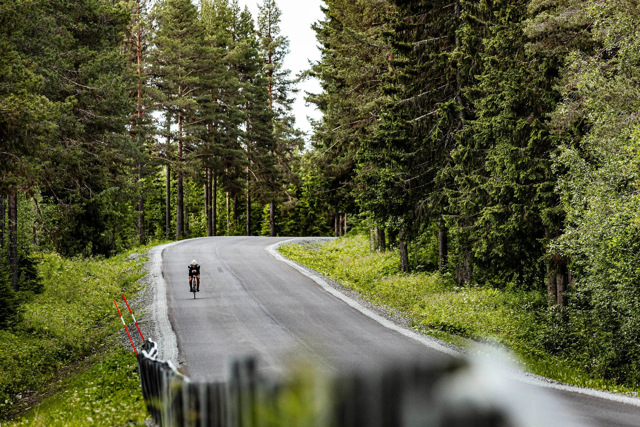 2026_SWEDEN_arielwojciechowski.com-325680.jpg