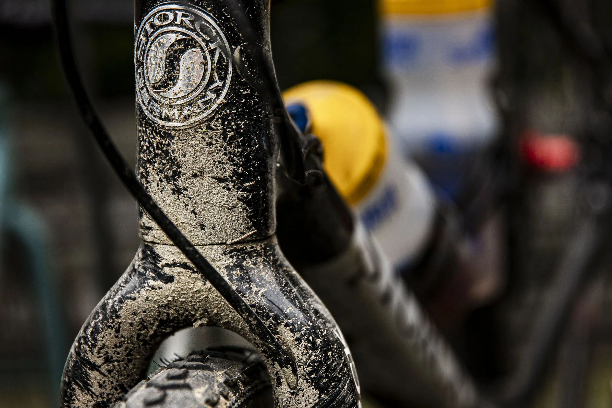 the restless_arielwojciechowski.com_2025-62455.JPG