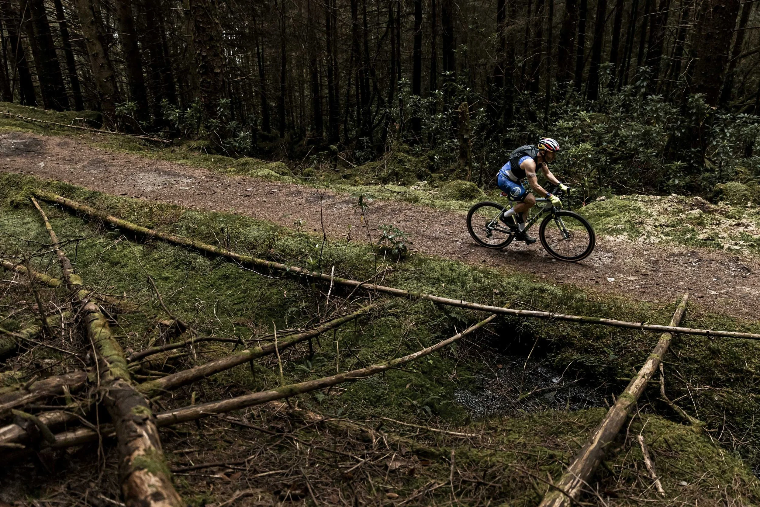 the restless_arielwojciechowski.com_2025-68728.JPG