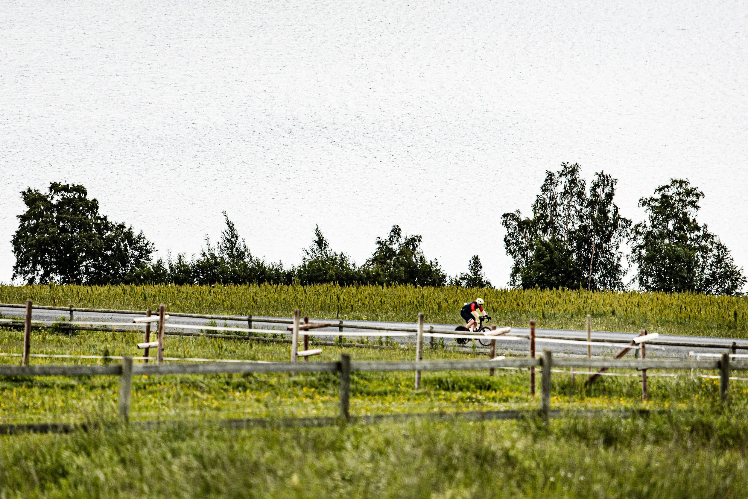 2026_SWEDEN_arielwojciechowski.com-328874.jpg