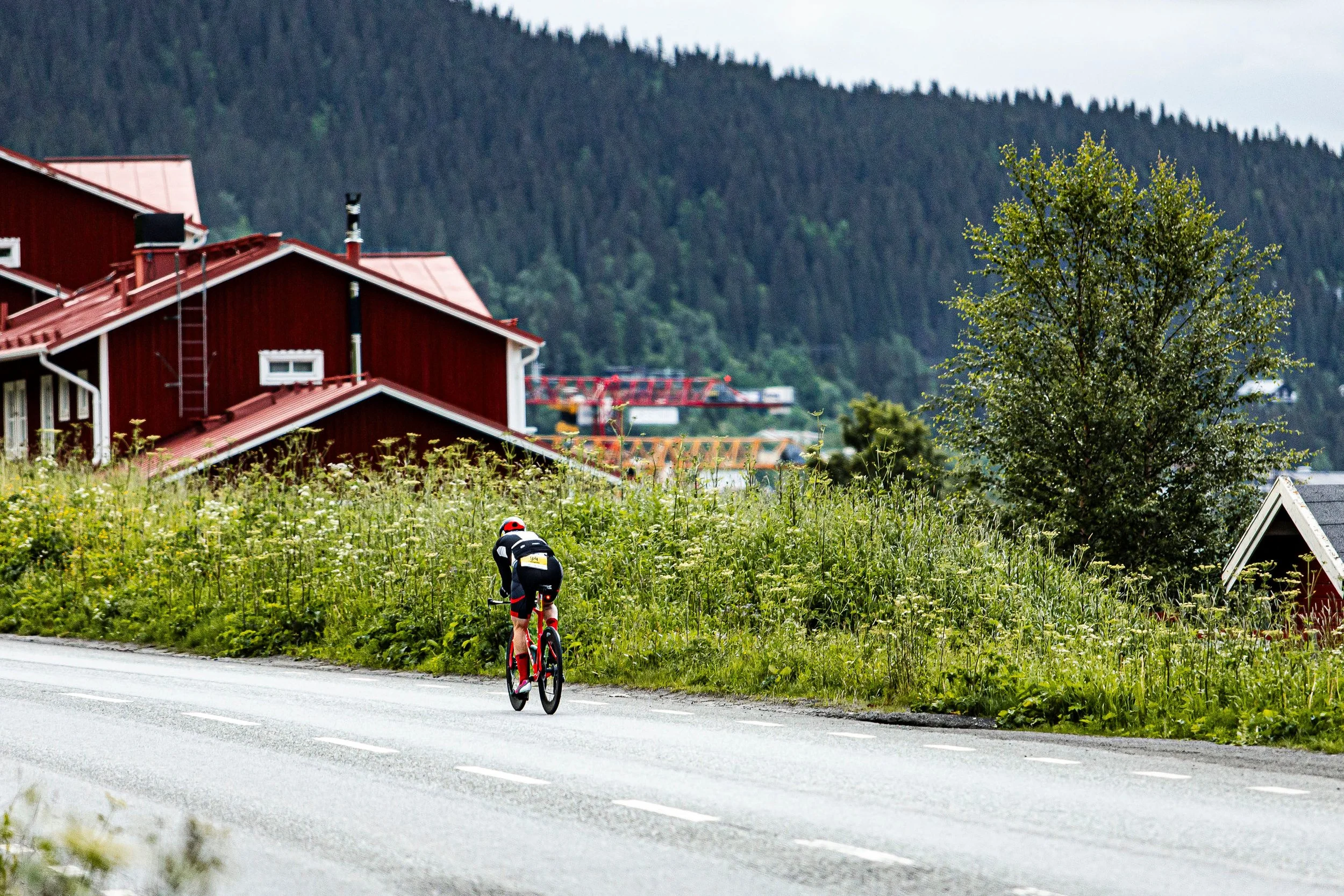 2026_SWEDEN_arielwojciechowski.com-324466.jpg