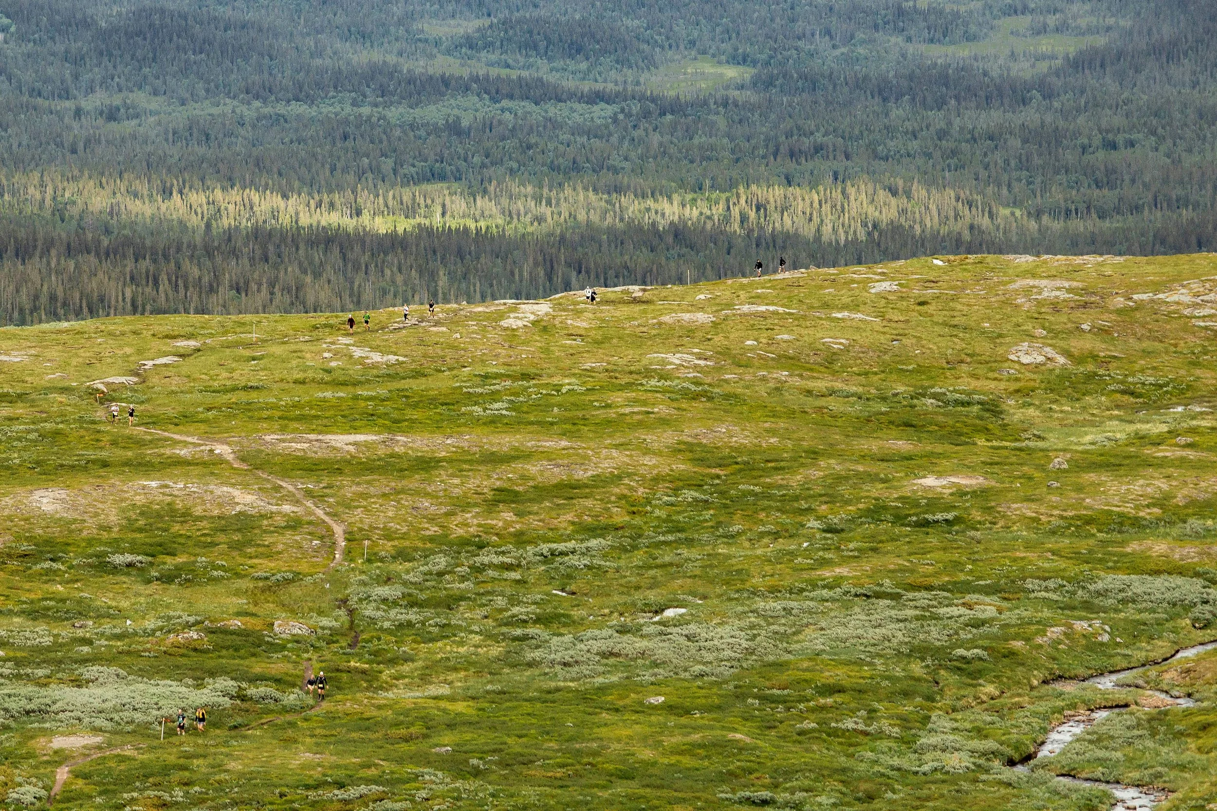 2026_SWEDEN_arielwojciechowski.com-328998.jpg