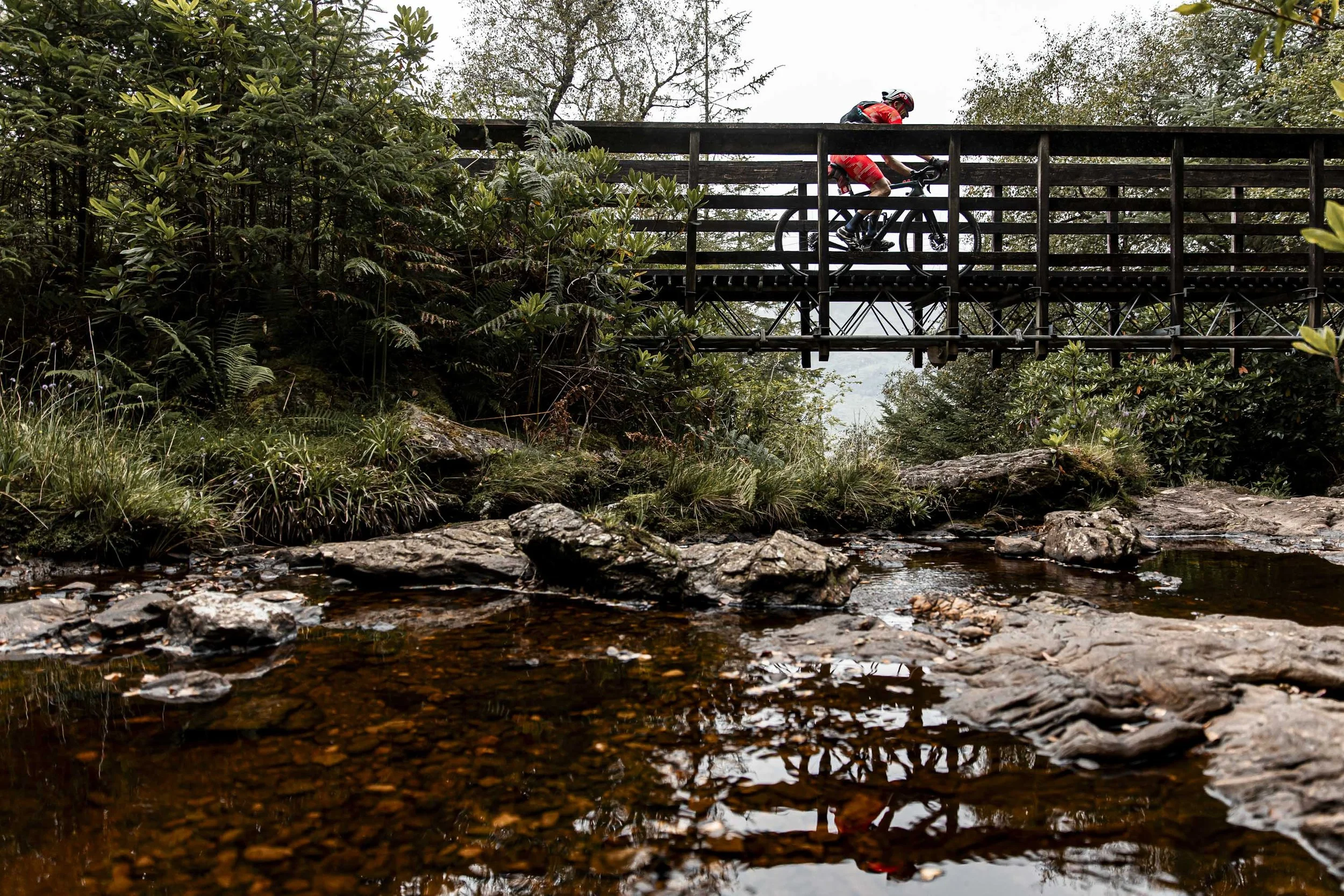 the restless_arielwojciechowski.com_2025-69541.JPG