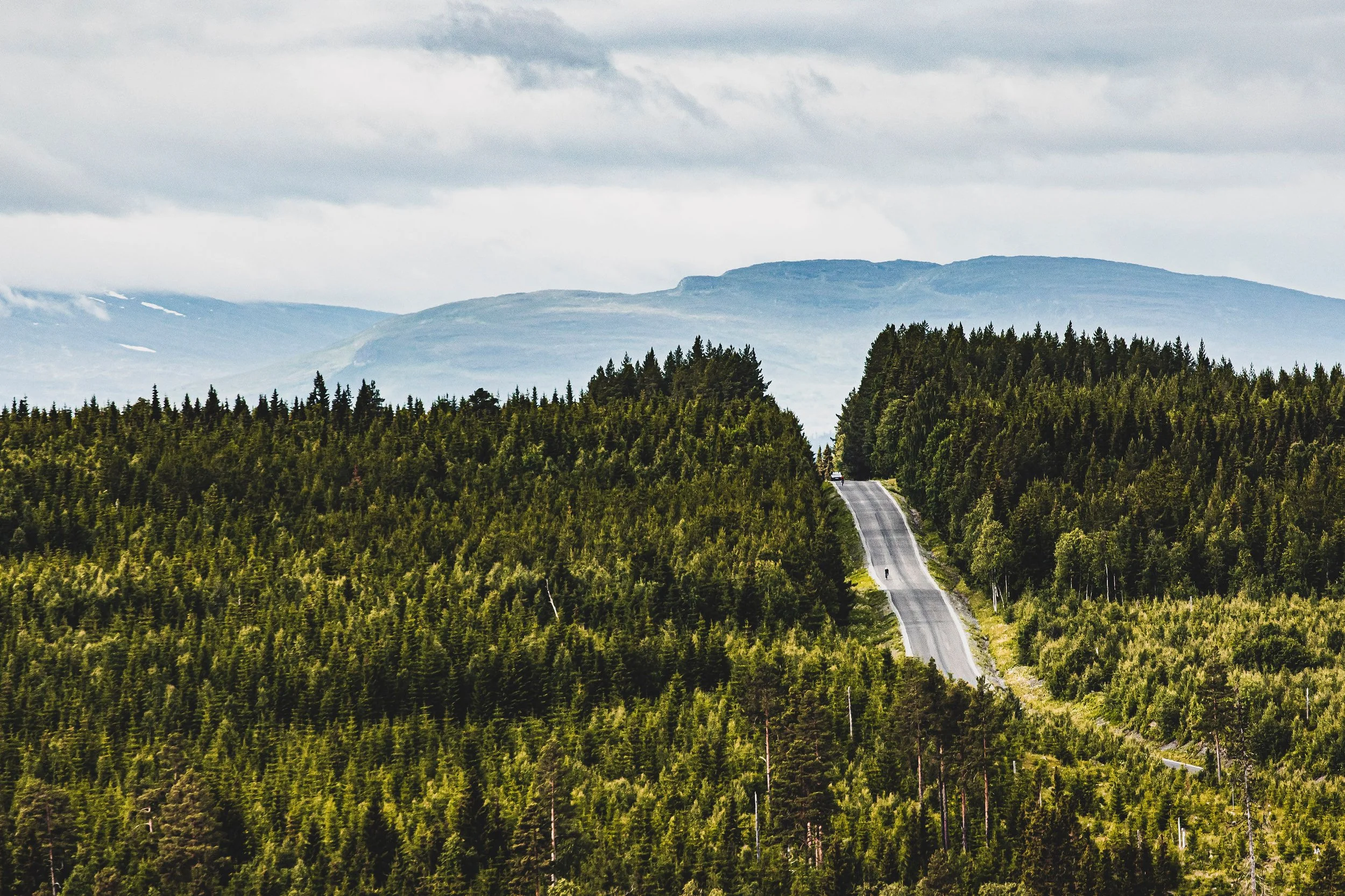 2026_SWEDEN_arielwojciechowski.com-326667.jpg