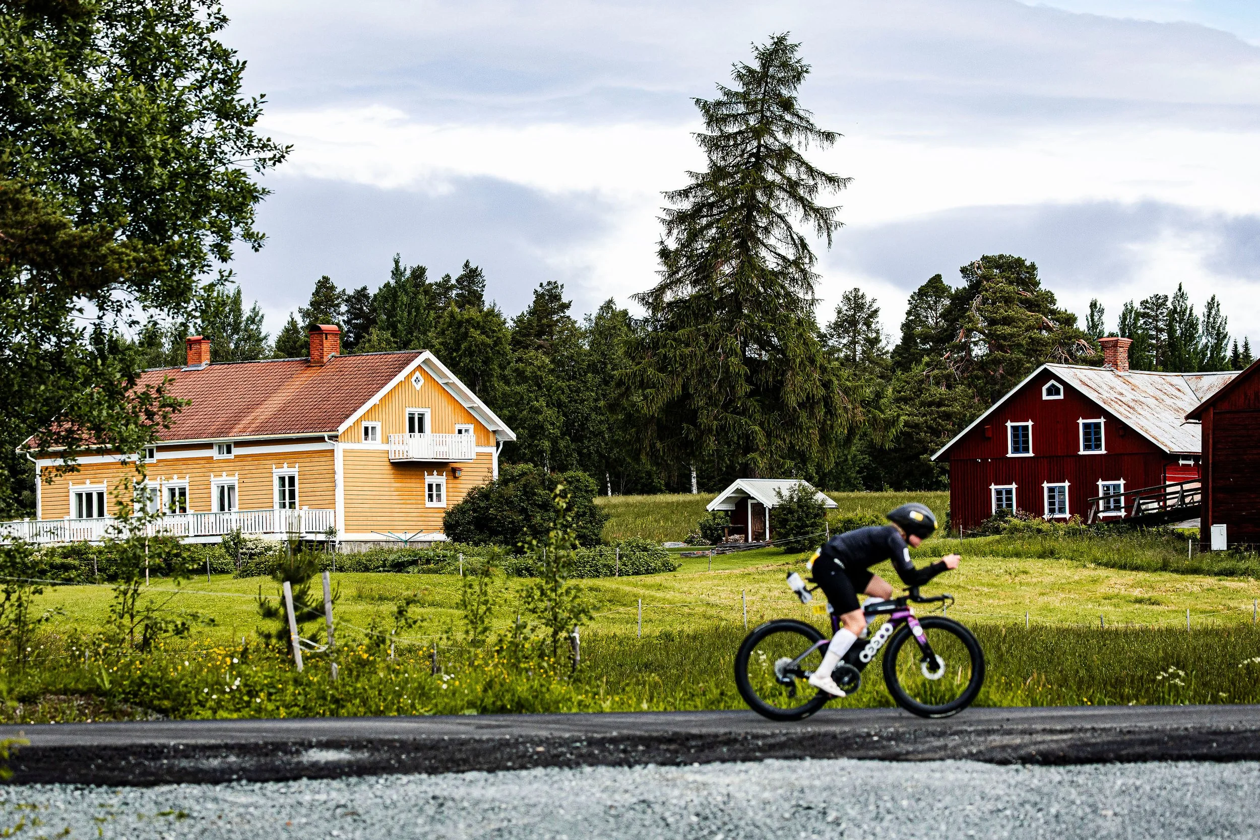 2026_SWEDEN_arielwojciechowski.com-325445.jpg