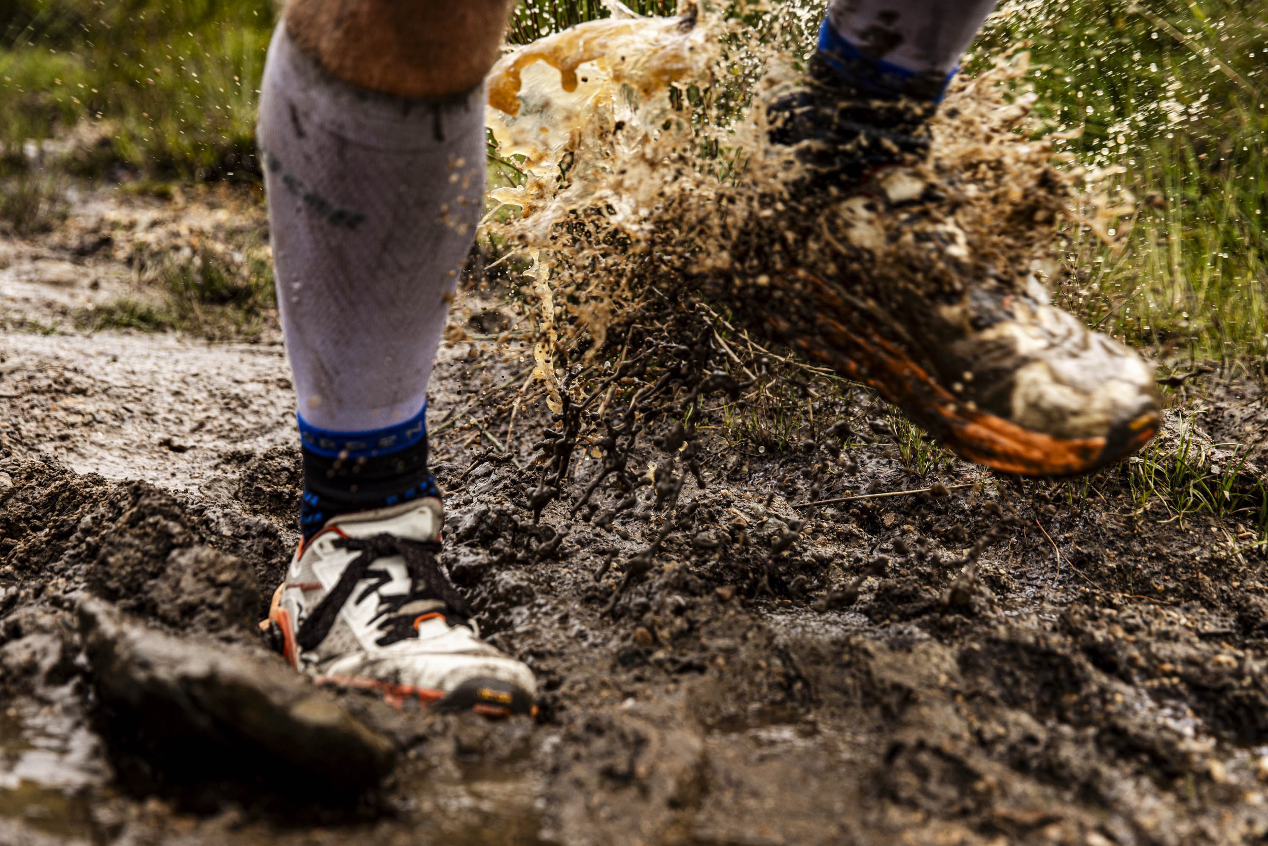 the restless_arielwojciechowski.com_2025-57869.JPG