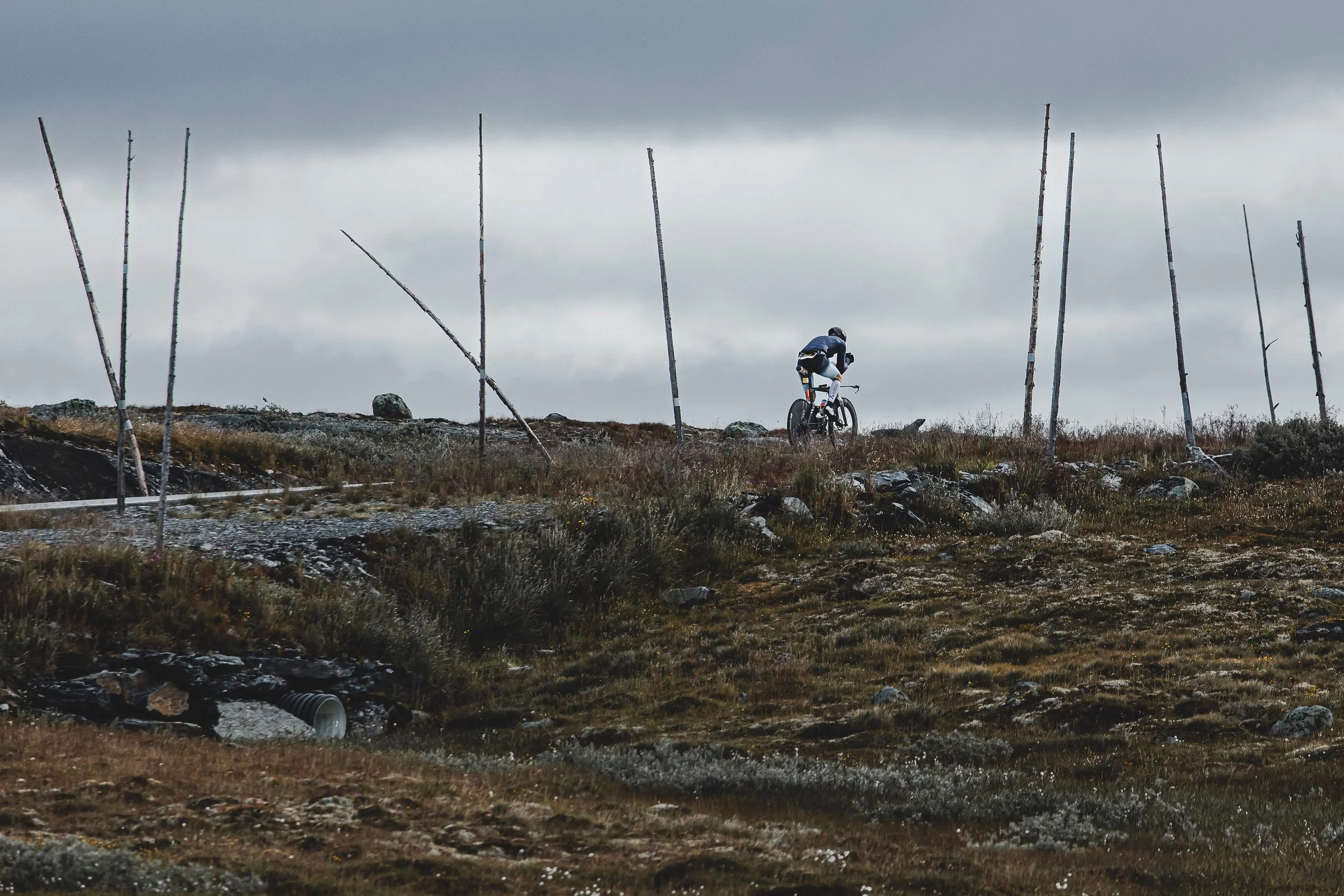 2026_NORSEMAN_arielwojciechowski.com-322892.jpg