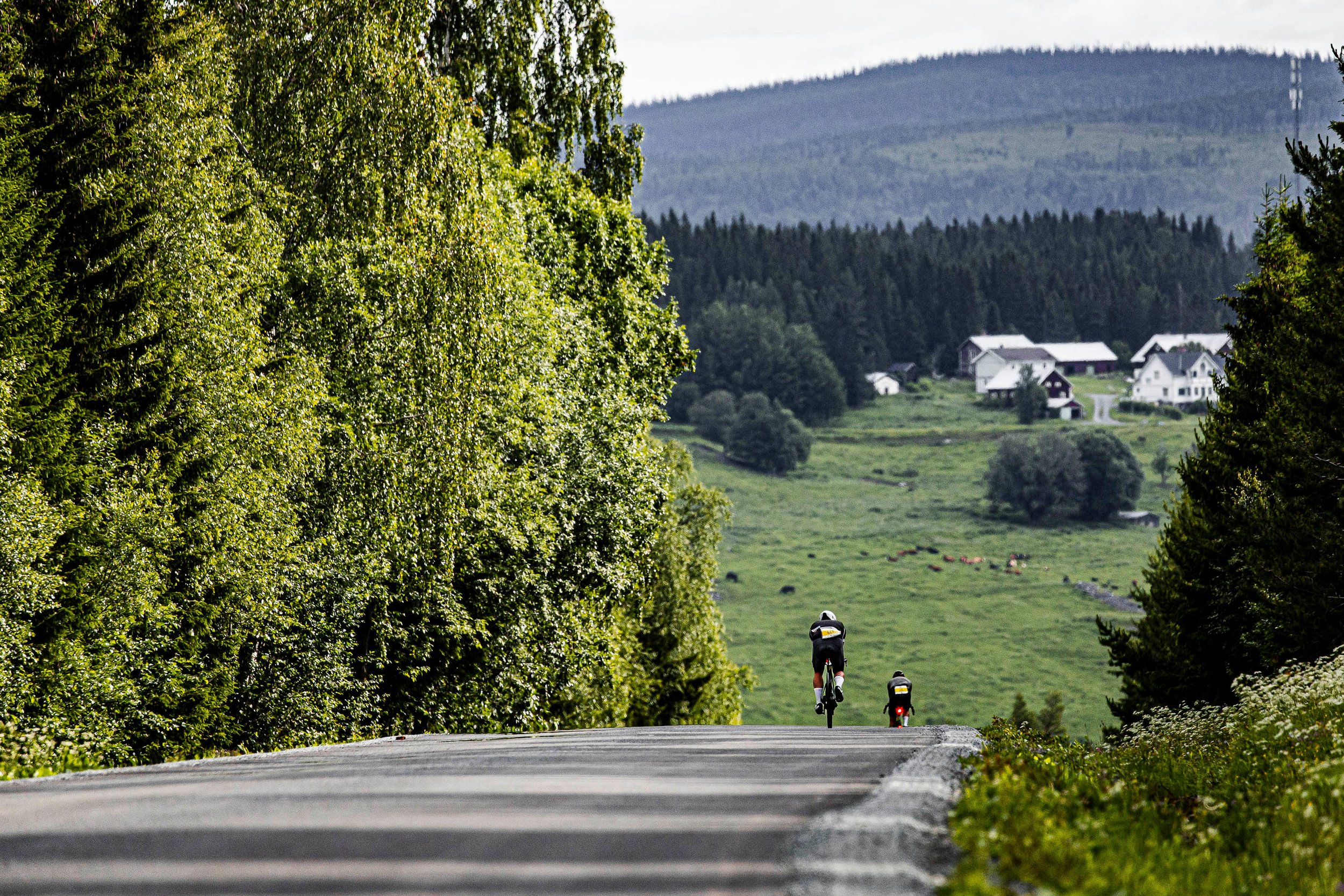 2026_SWEDEN_arielwojciechowski.com-326293.jpg