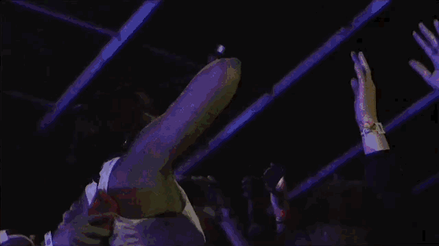 Aug-03-2024 19-04-45.gif