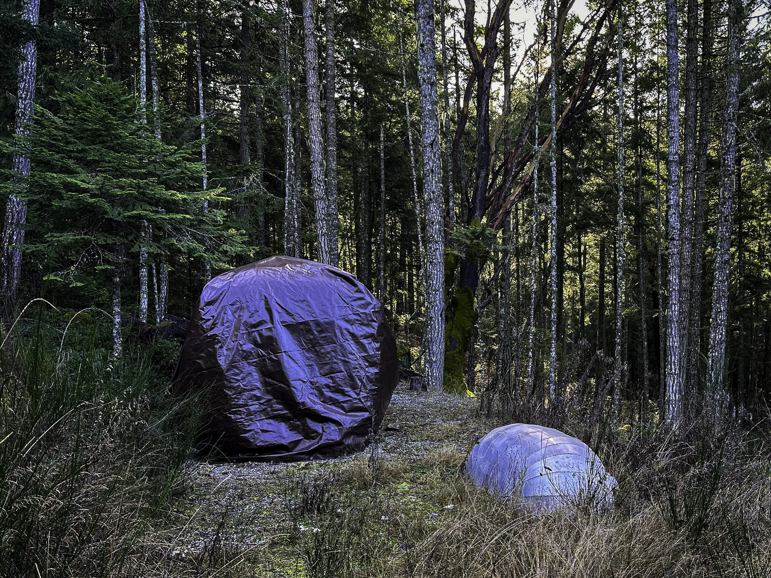 And, an Airstream trailer tarped and waiting for spring, both on a large acreage...