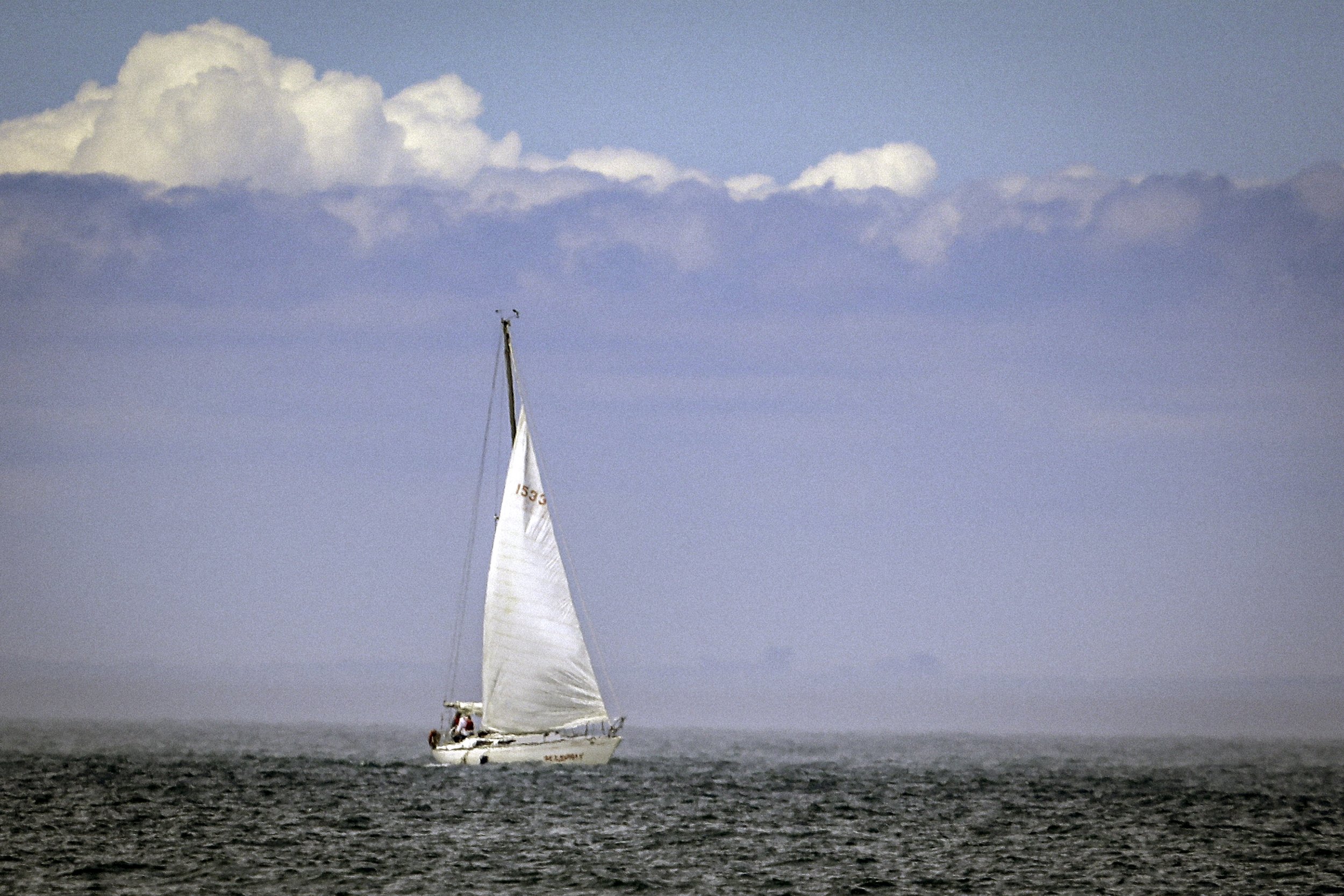 094A6728wis.jpg