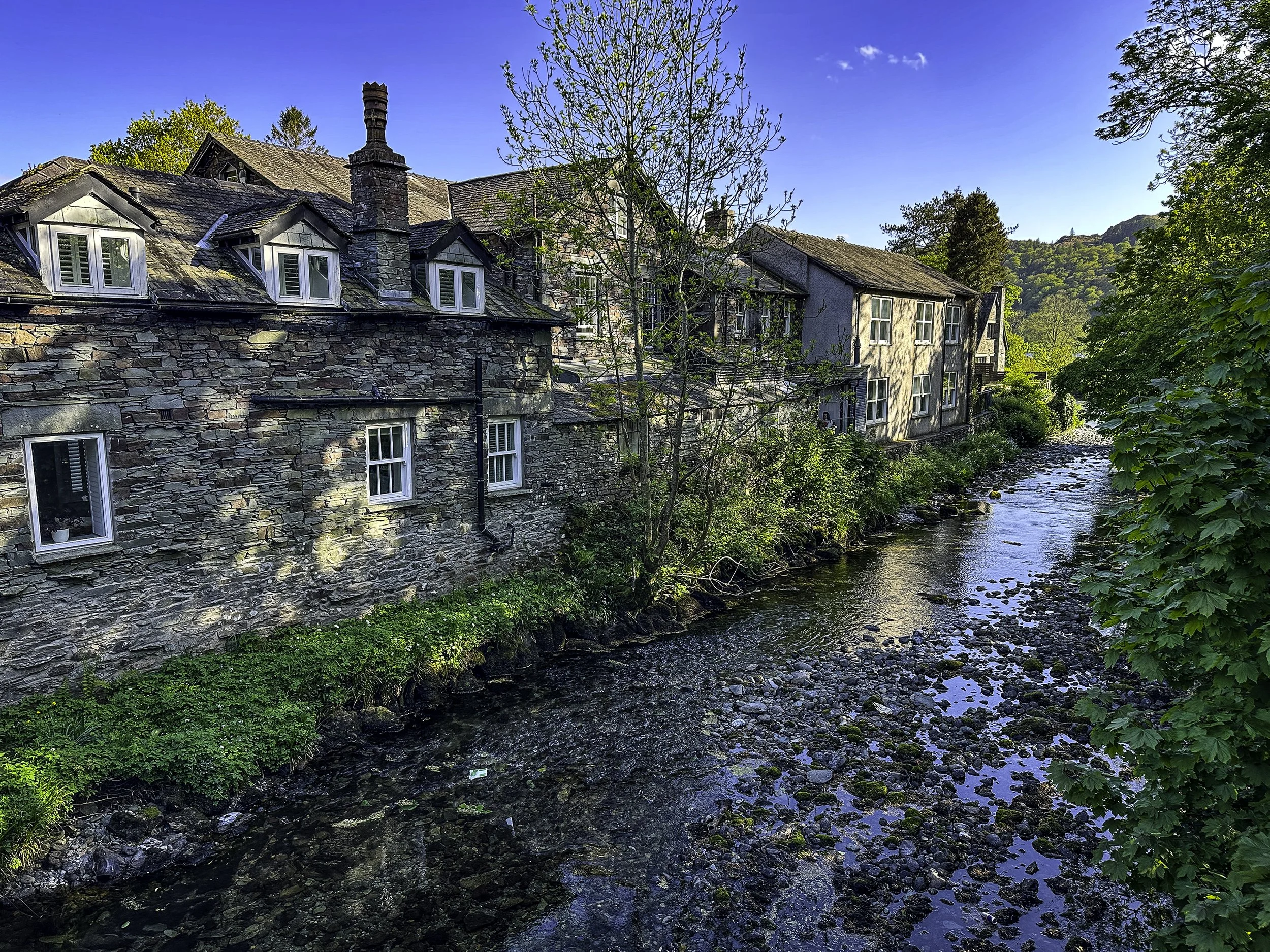 IMG_8164wis.jpg