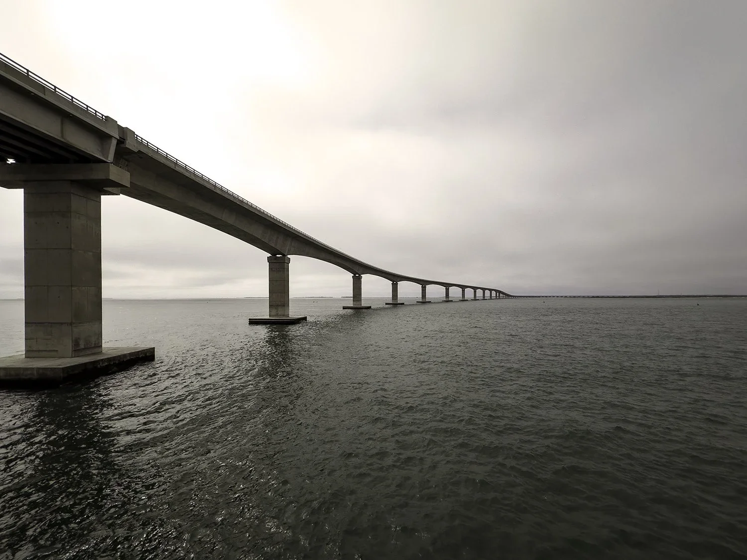 The Quiet Rhythm Of Longevity