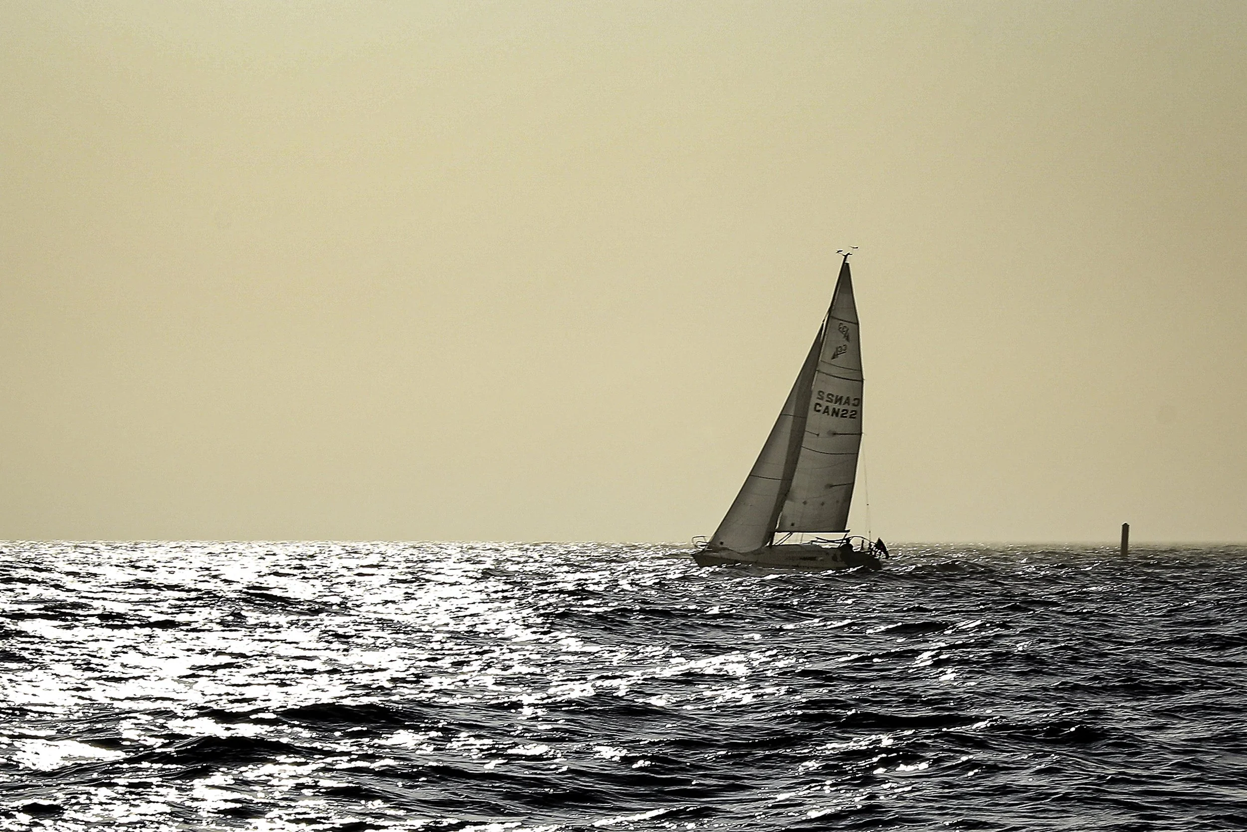094A6499wis2.jpg