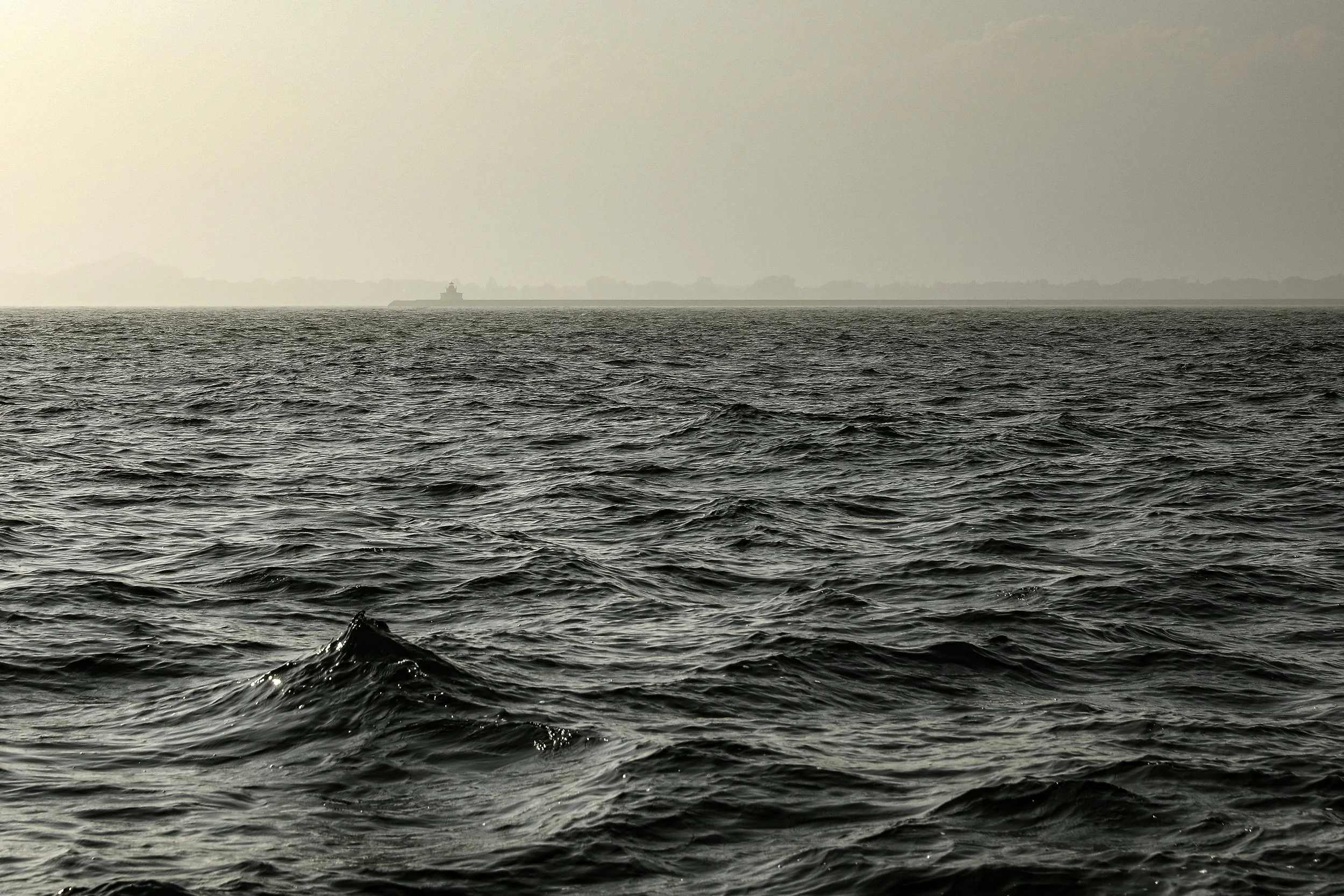 094A6445wis.jpg
