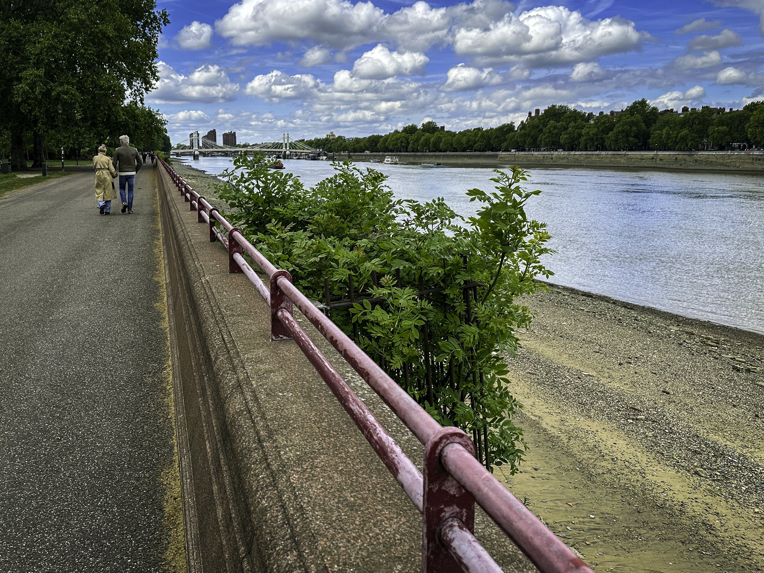 IMG_7815wis.jpg