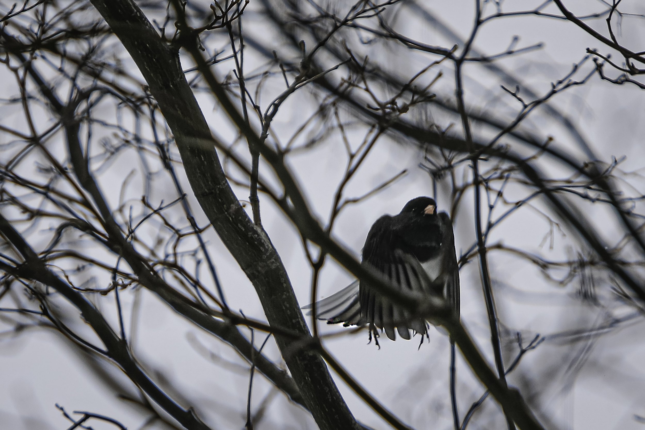 ...adjusting to a precise point within the tree.