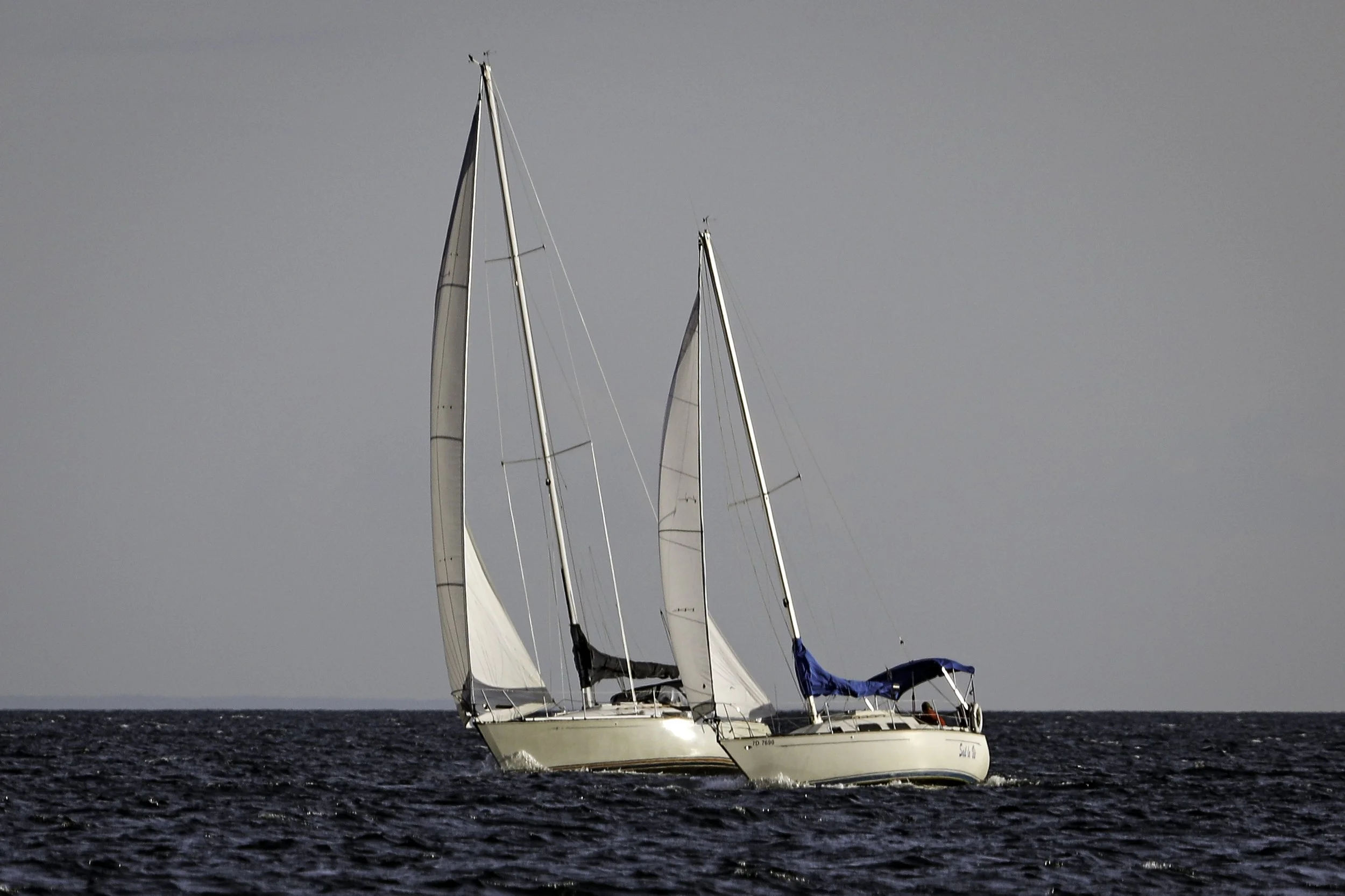 094A7151wis.jpg