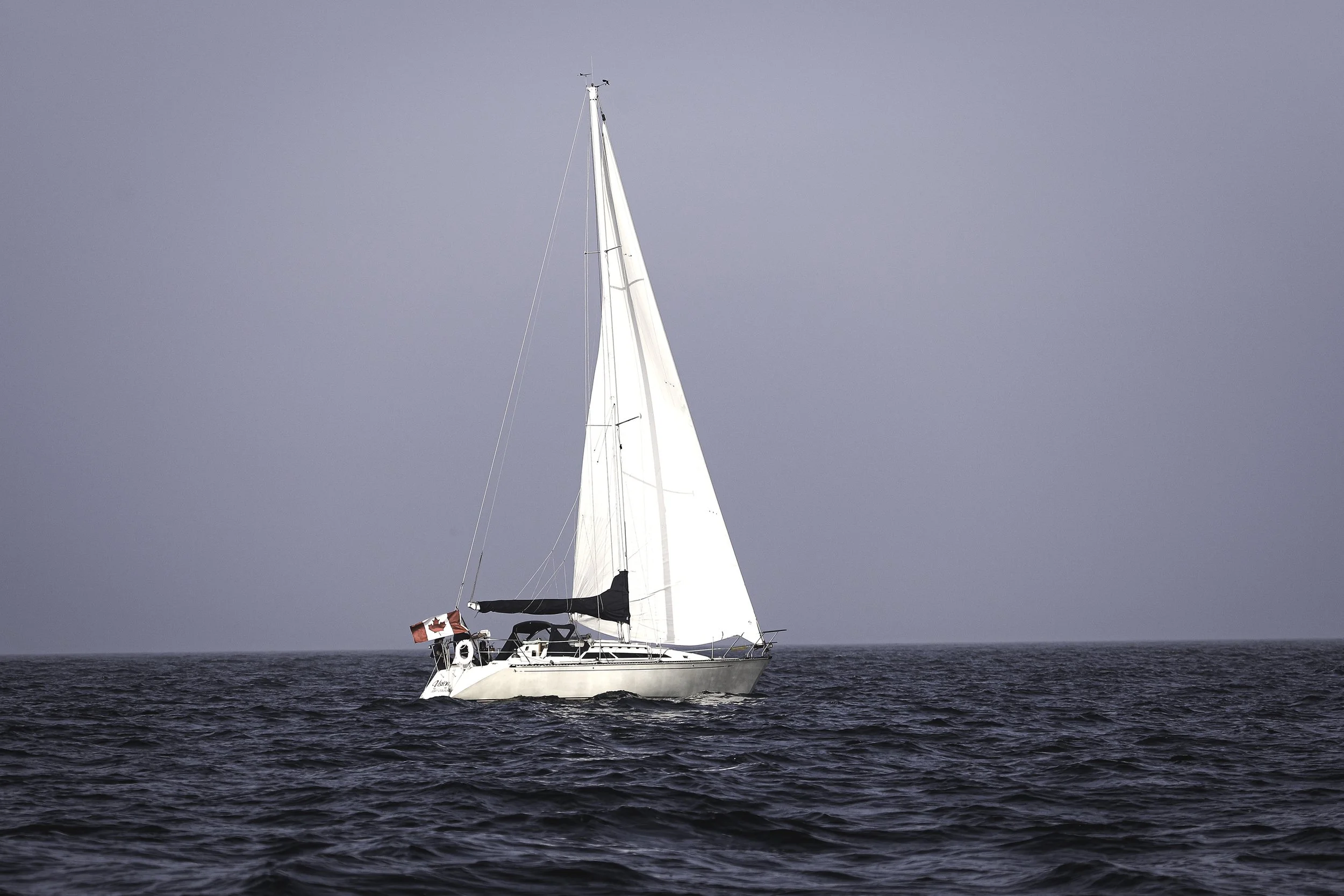 094A6478wis.jpg