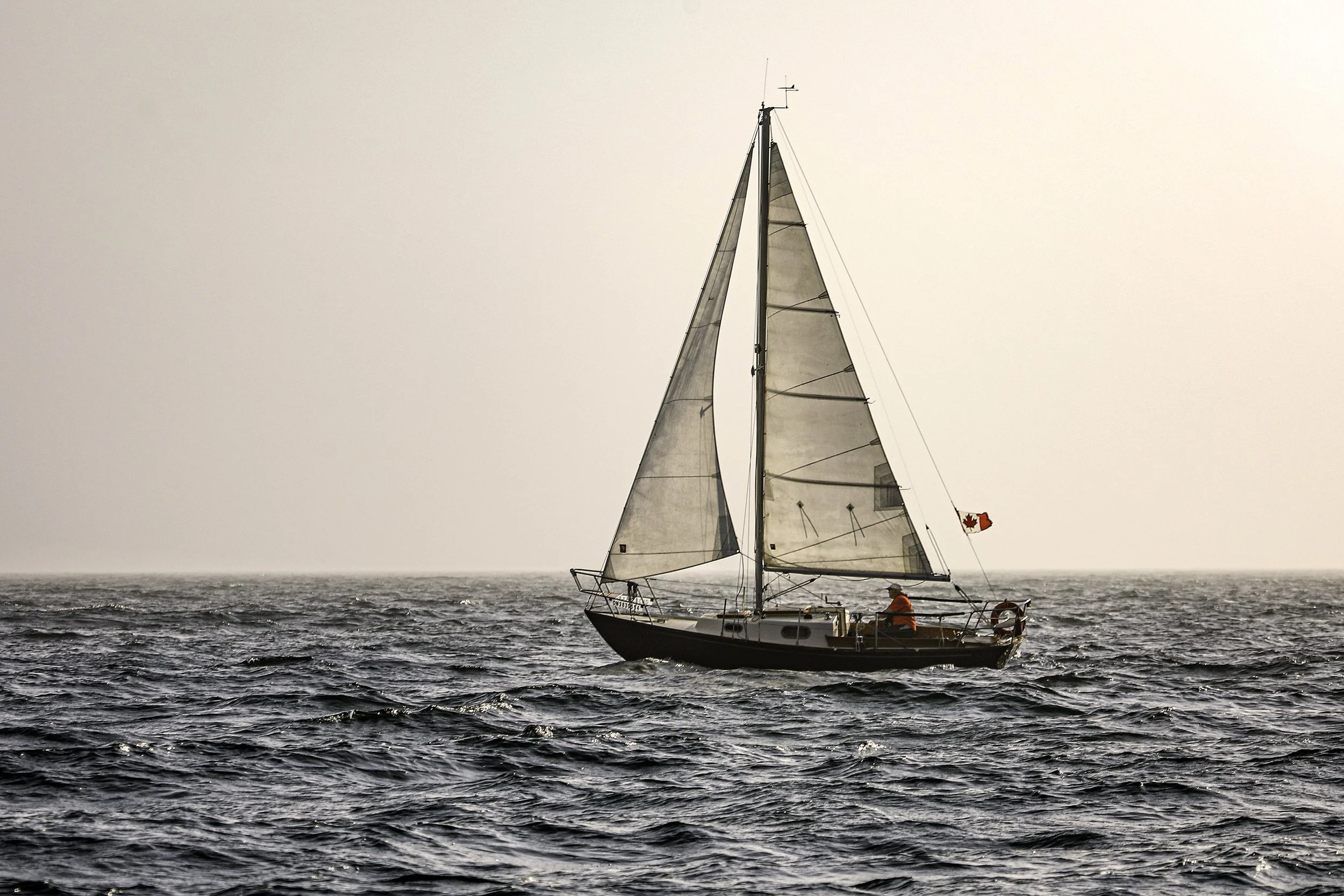 094A6464wis.jpg