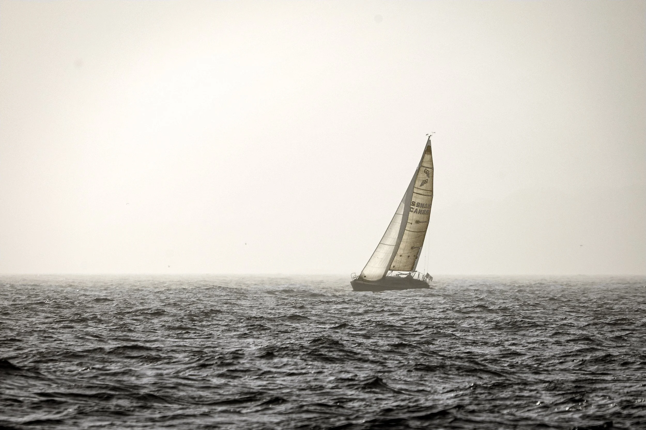 094A6468wis.jpg
