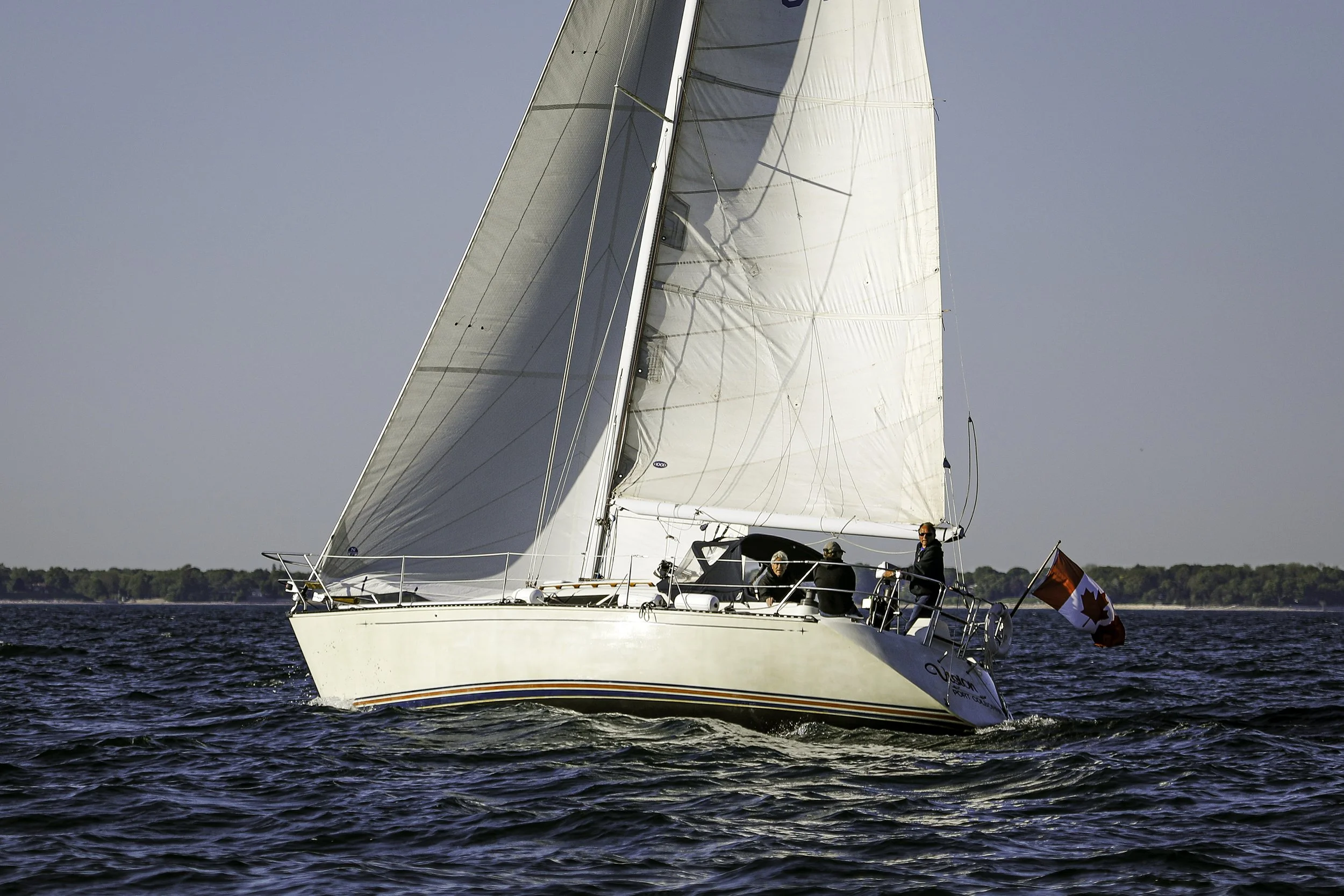 094A6275wis.jpg