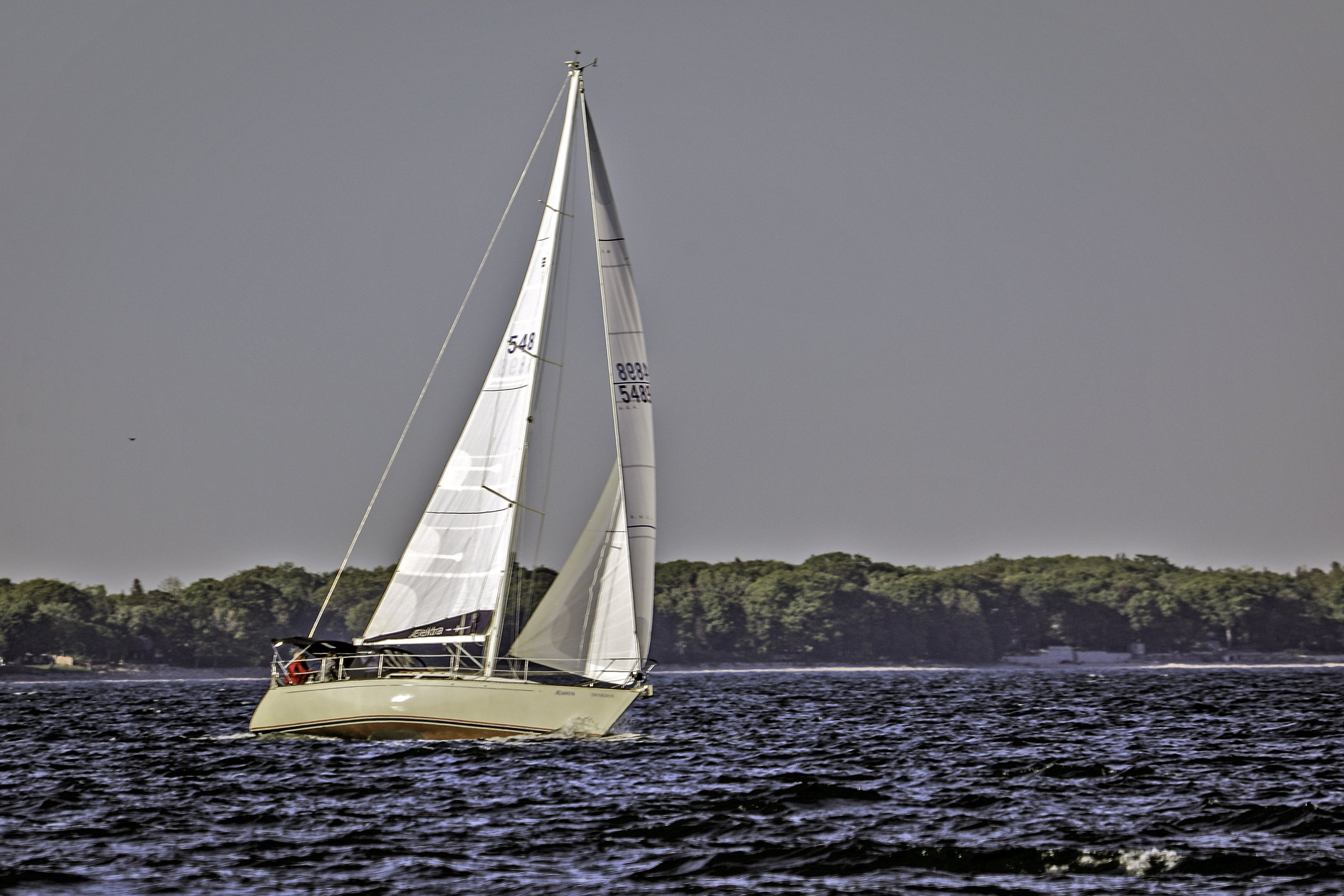 094A6288wis.jpg