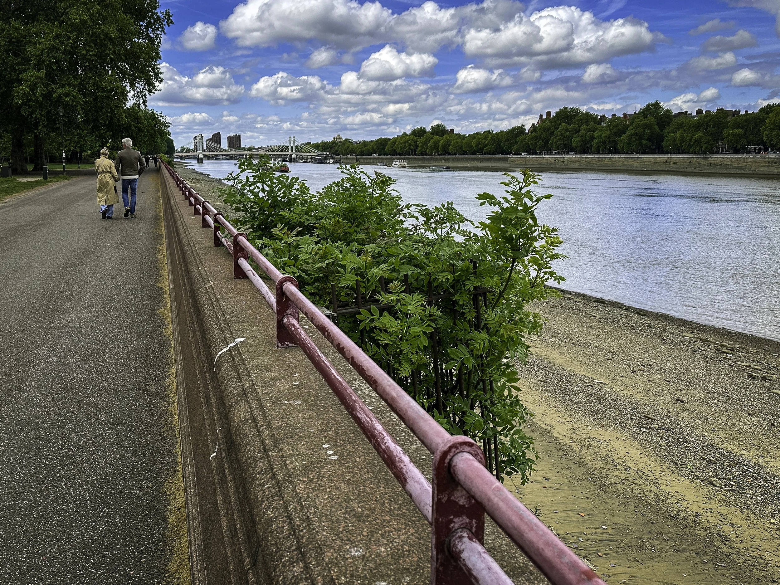 IMG_l7815.jpg