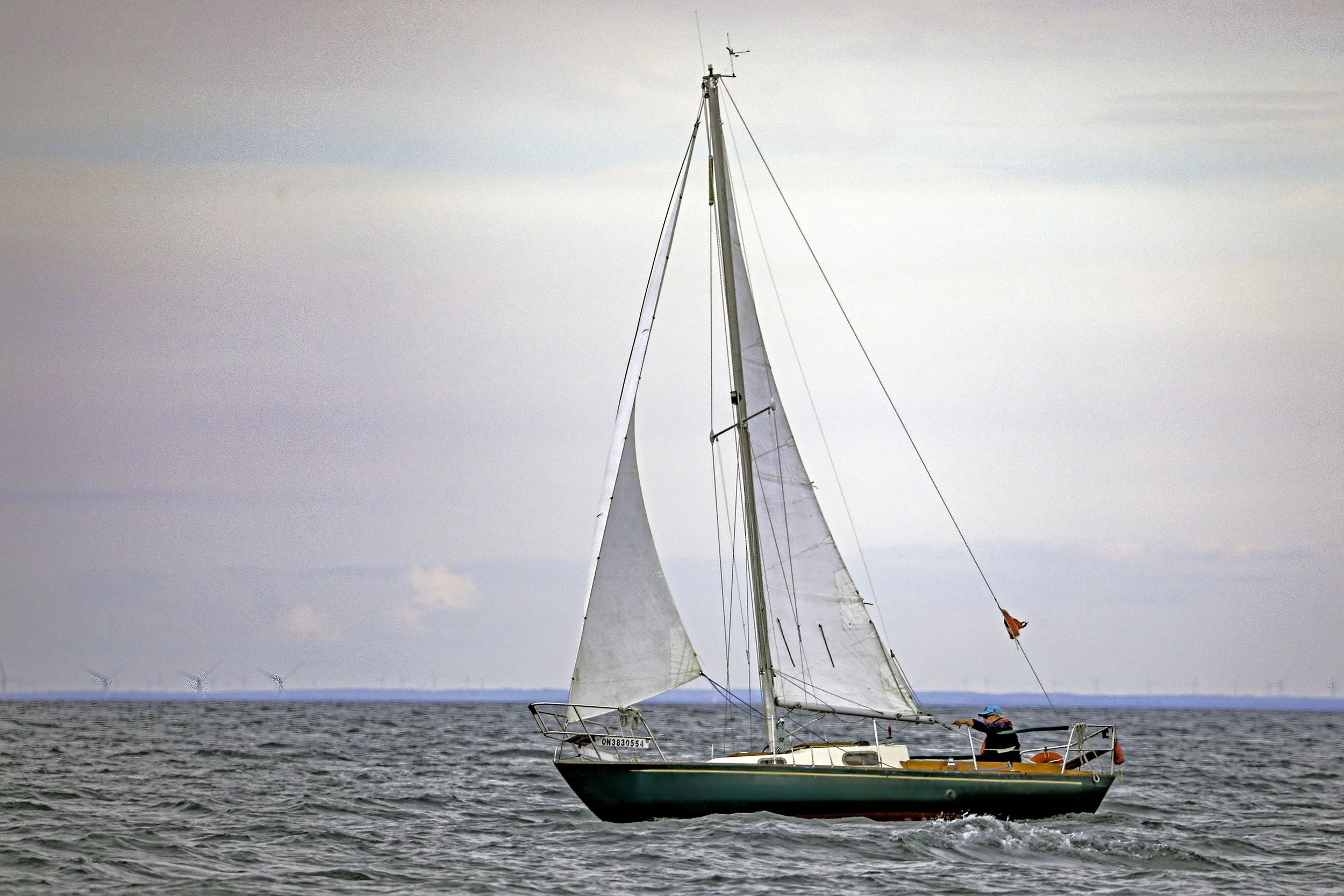 094A6603wis.jpg