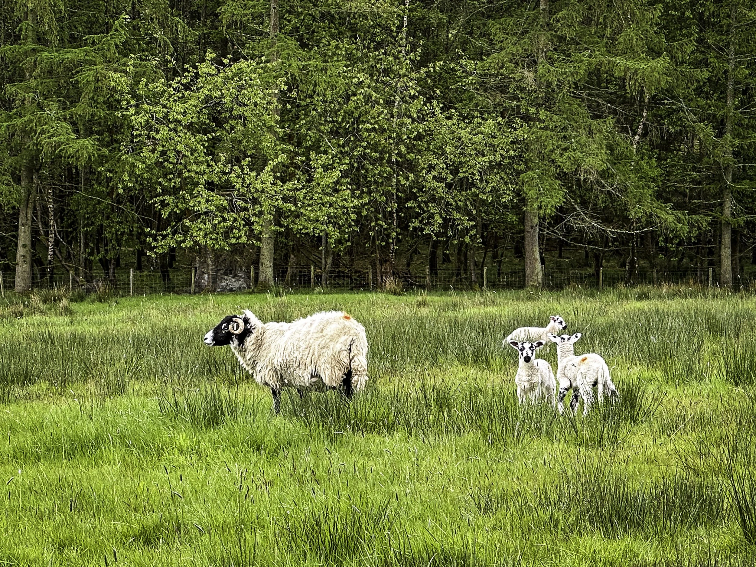 IMG_8253wis.jpg