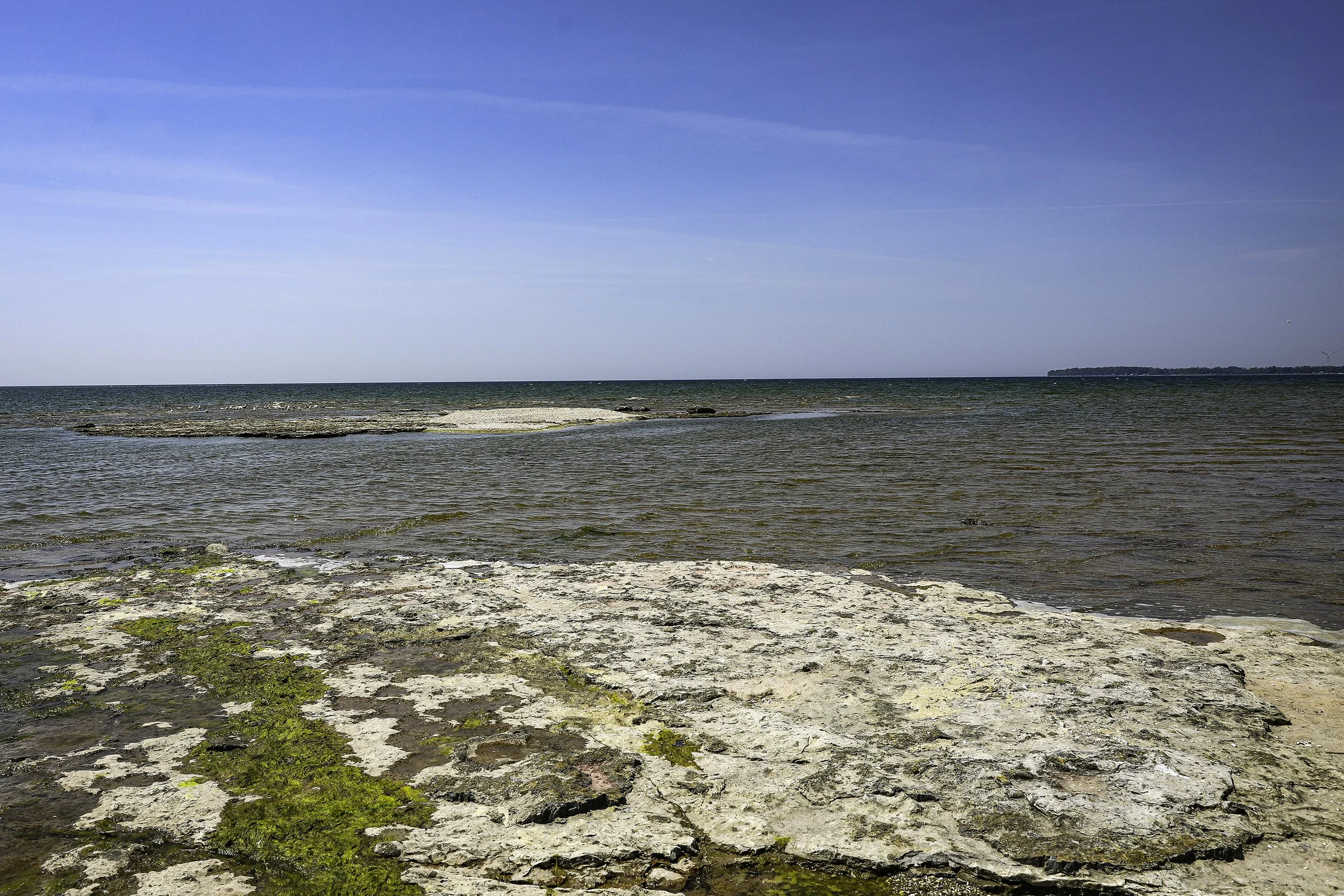 094A6328wis.jpg