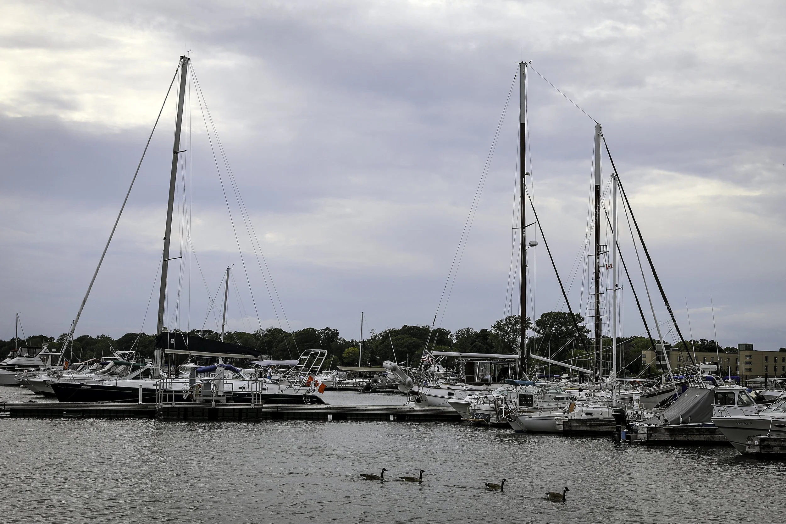 094A6576wis.jpg