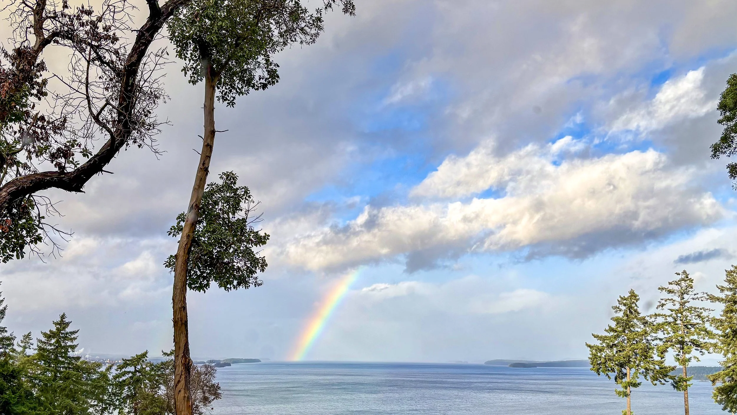 Home for the next 7 weeks...