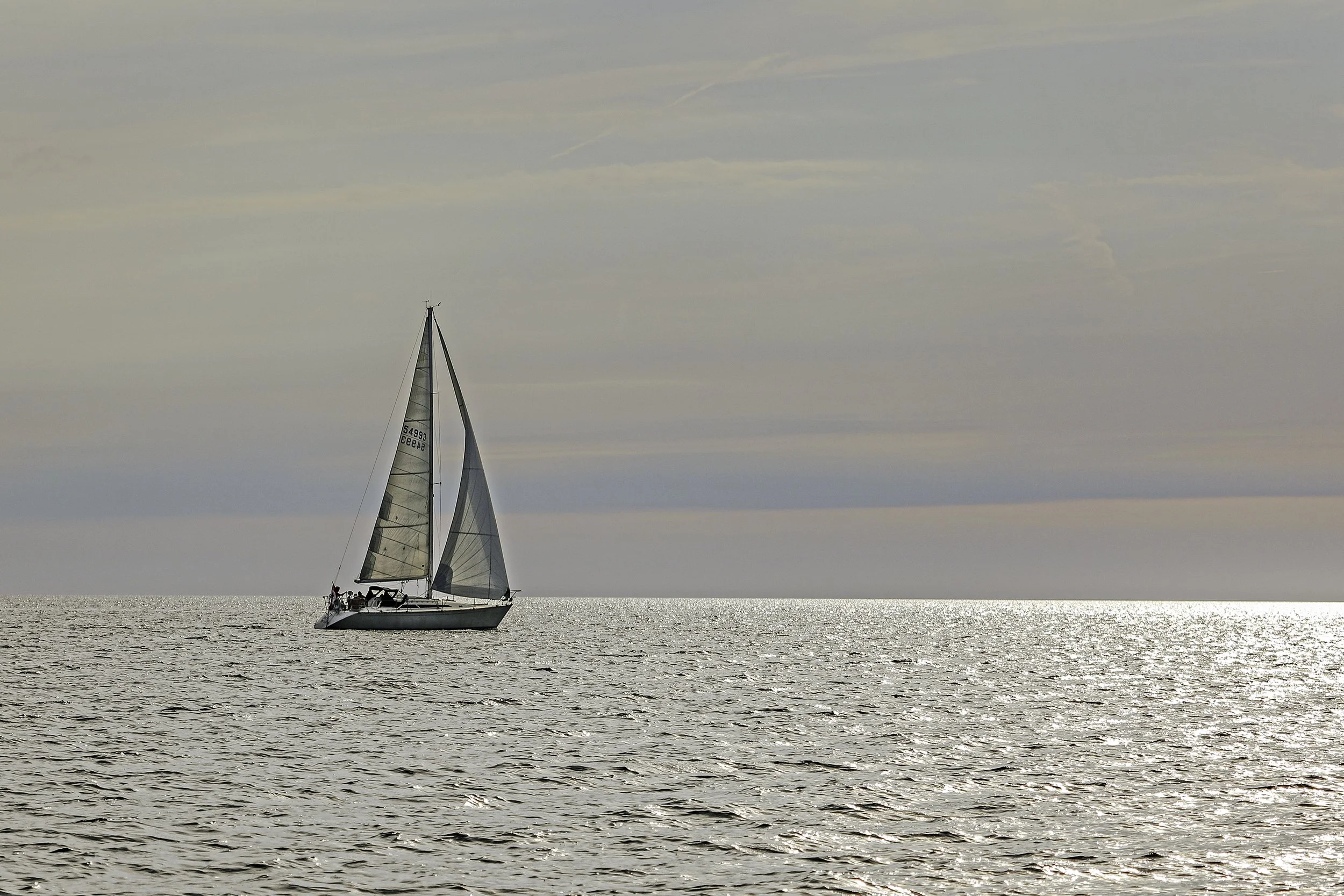 094A7188wis.jpg