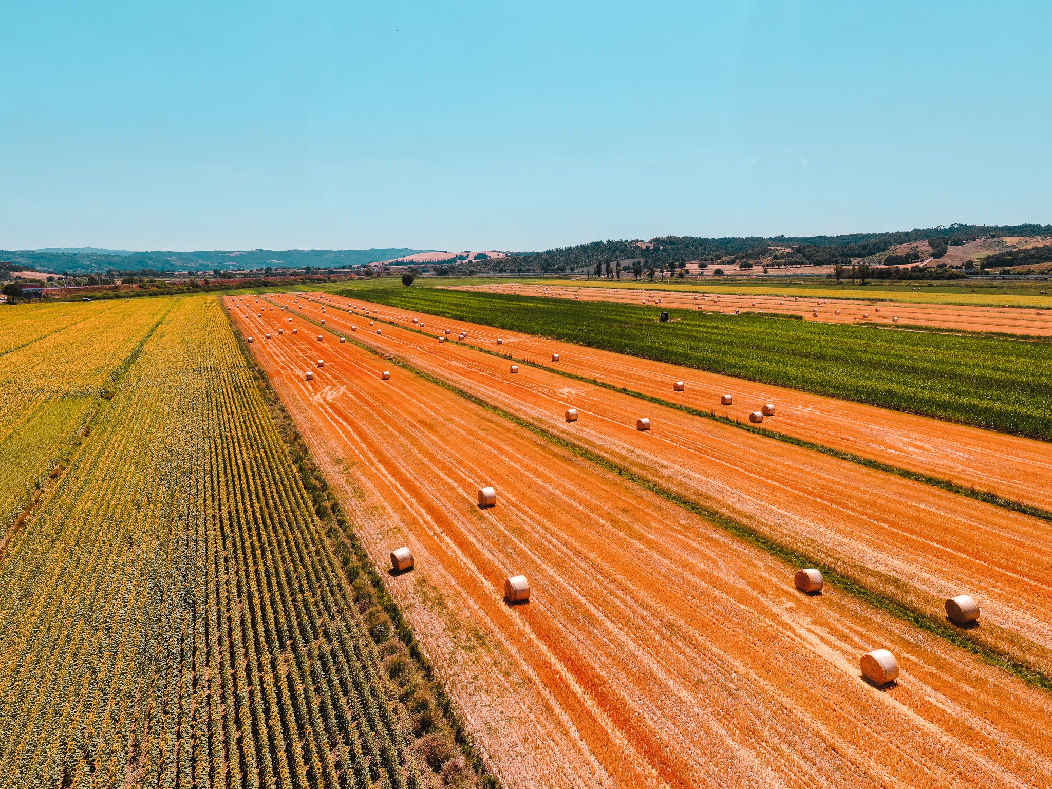 DJI_0185.jpg