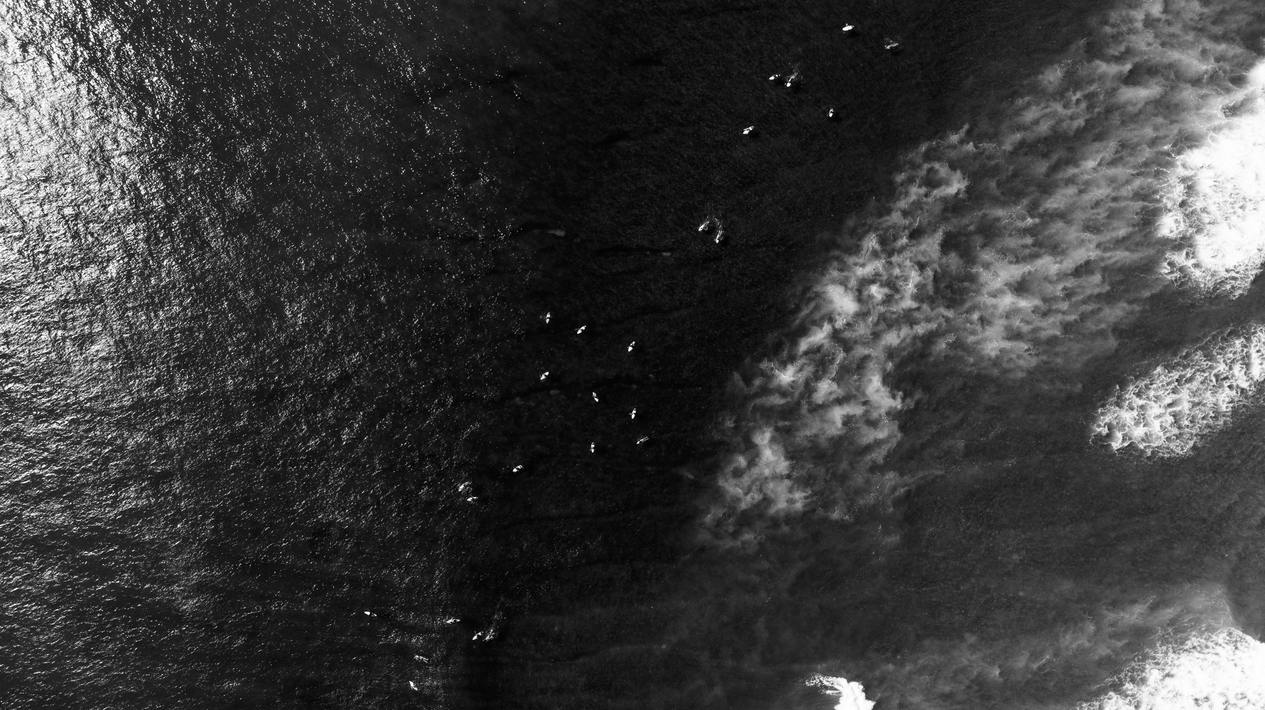 DJI_0031.jpg