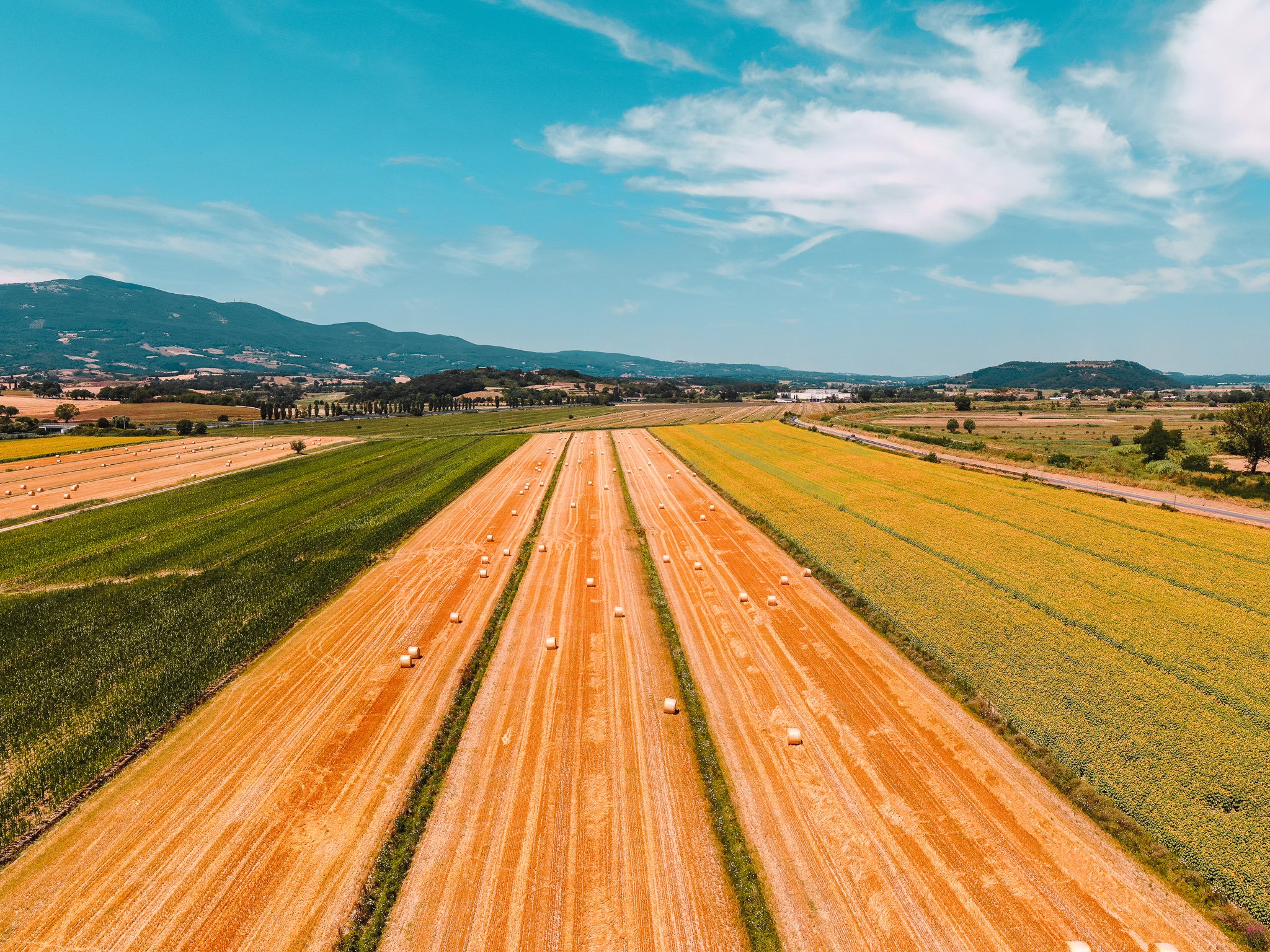 DJI_0202.jpg
