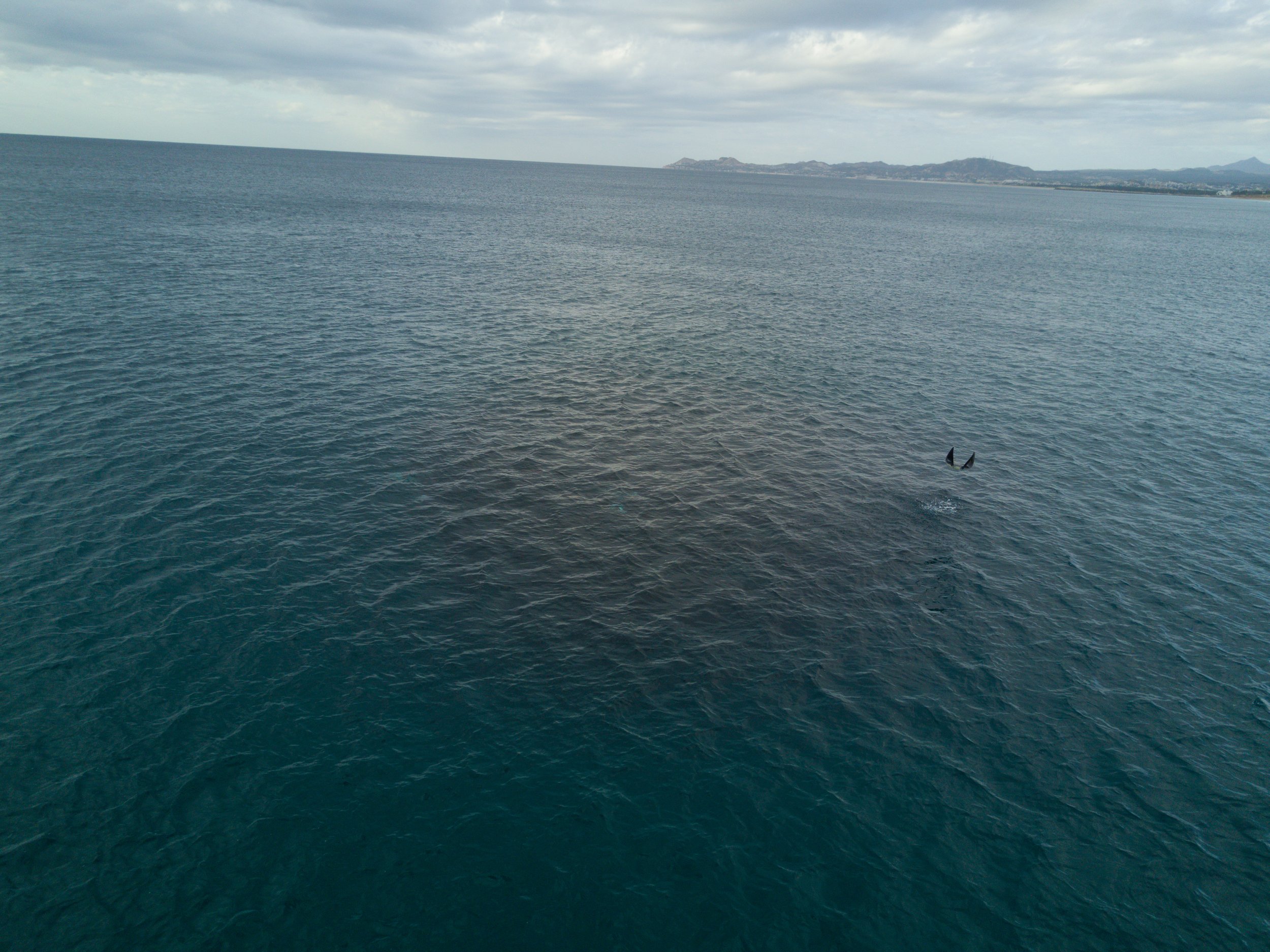 DJI_0826.jpg