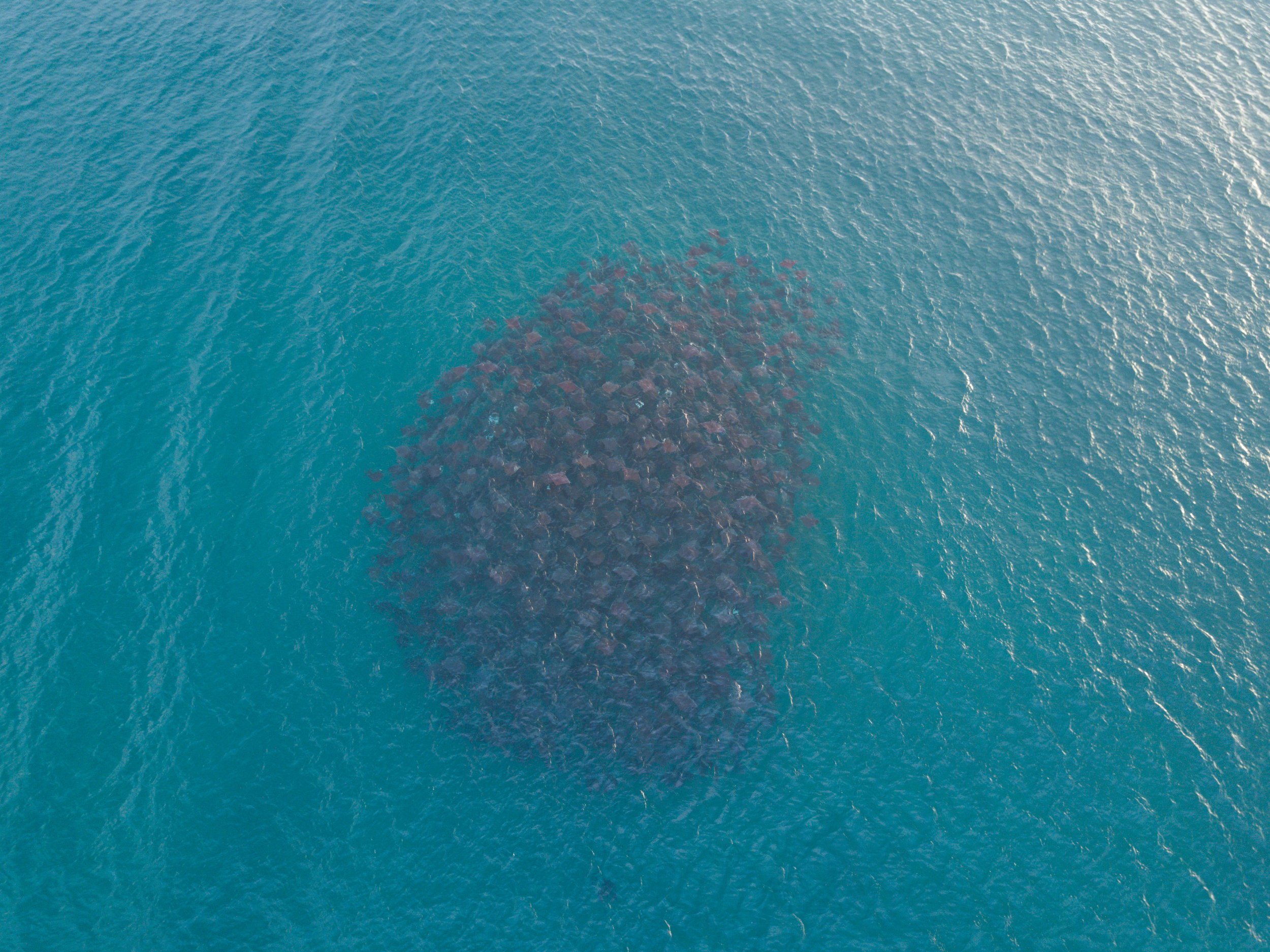 DJI_0820.jpg