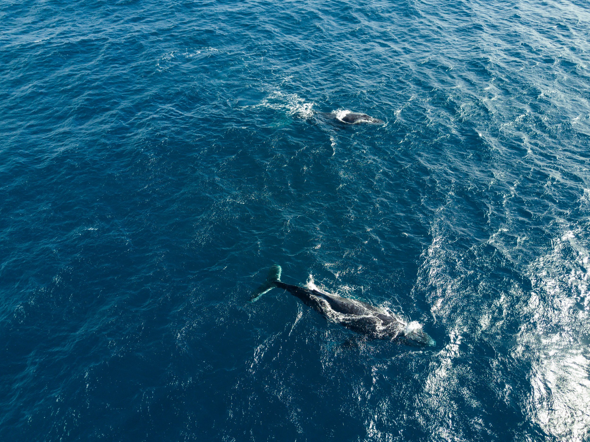 DJI_0886.jpg
