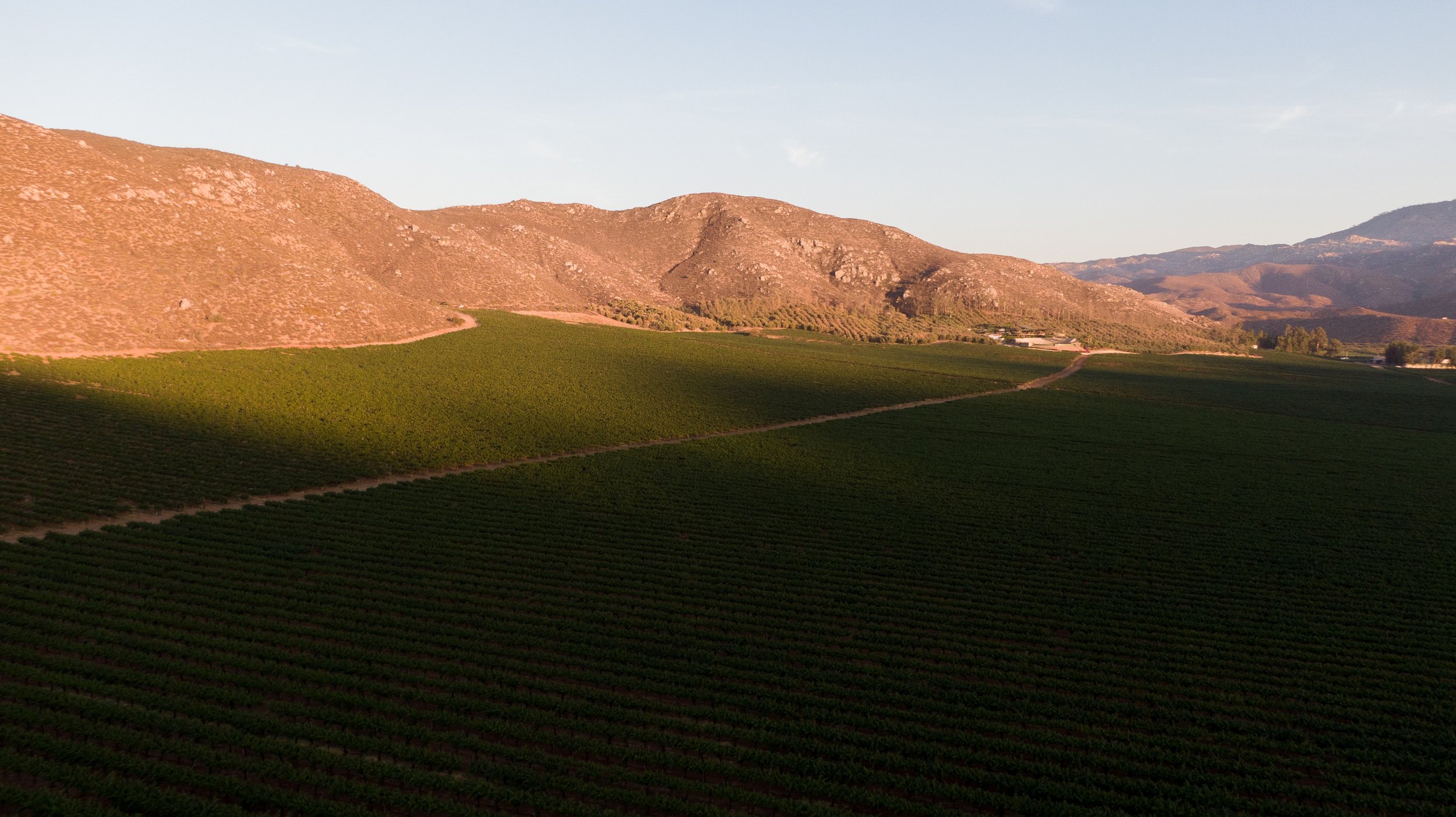 DJI_0865.jpg