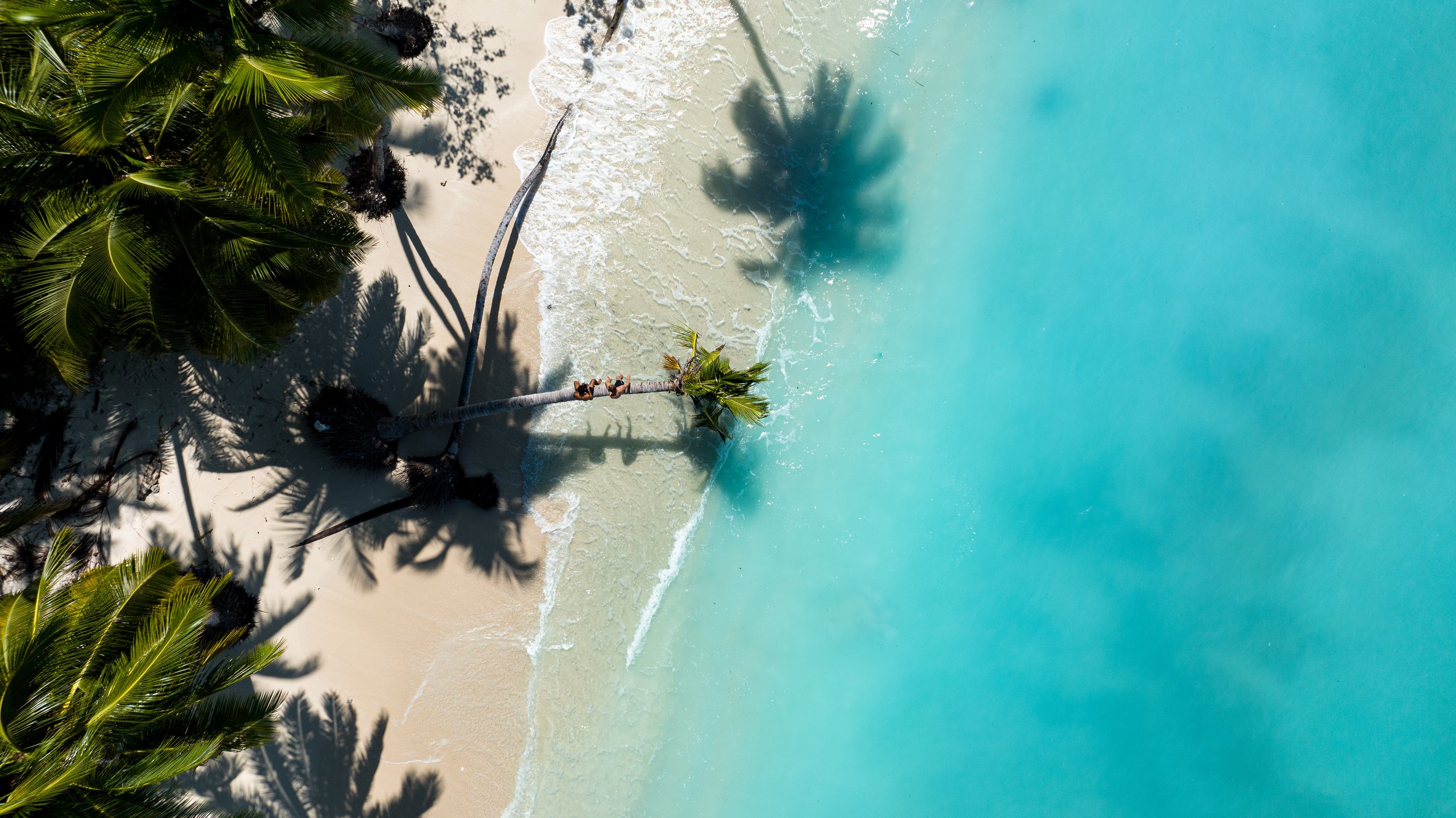 DJI_0049.jpg