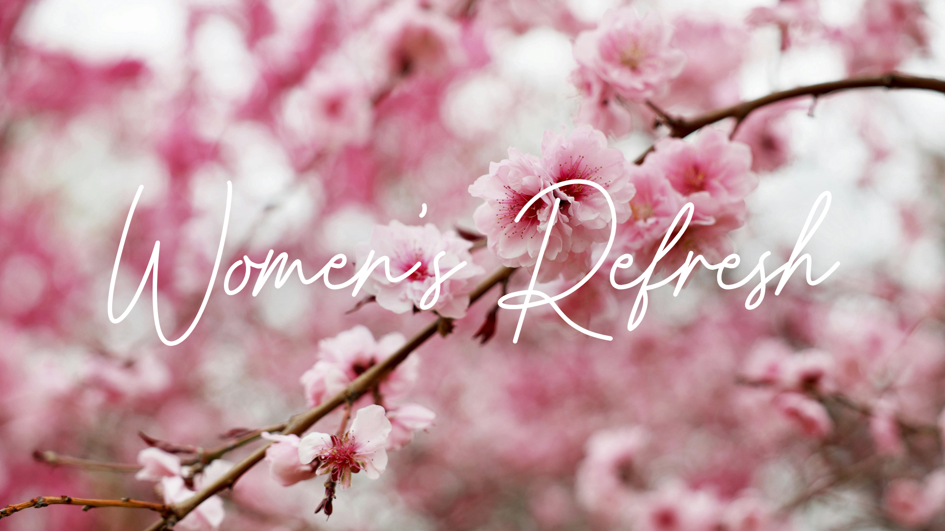 Women's Refresh Brunch