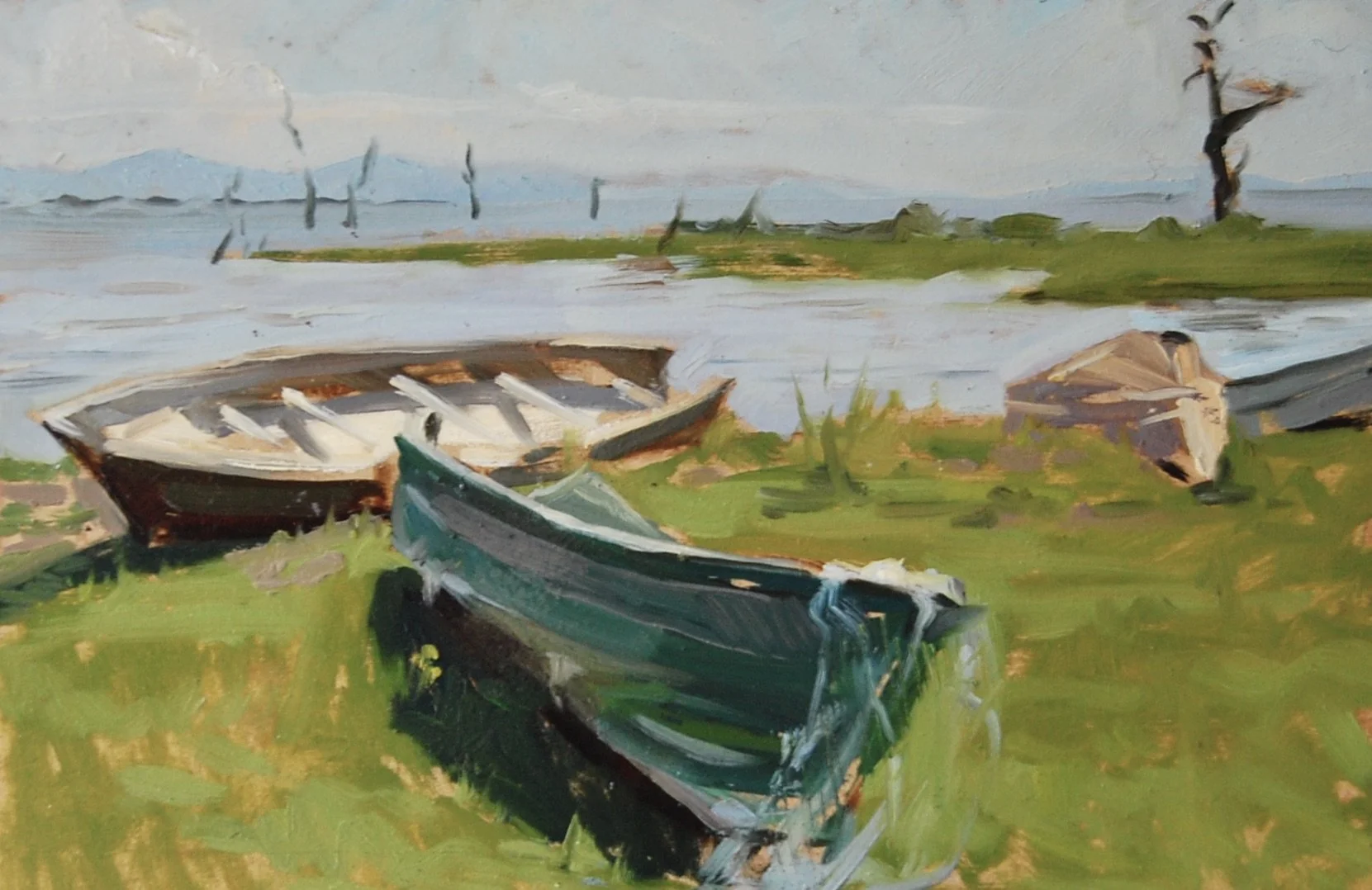 Boats docked, Lake Naivasha