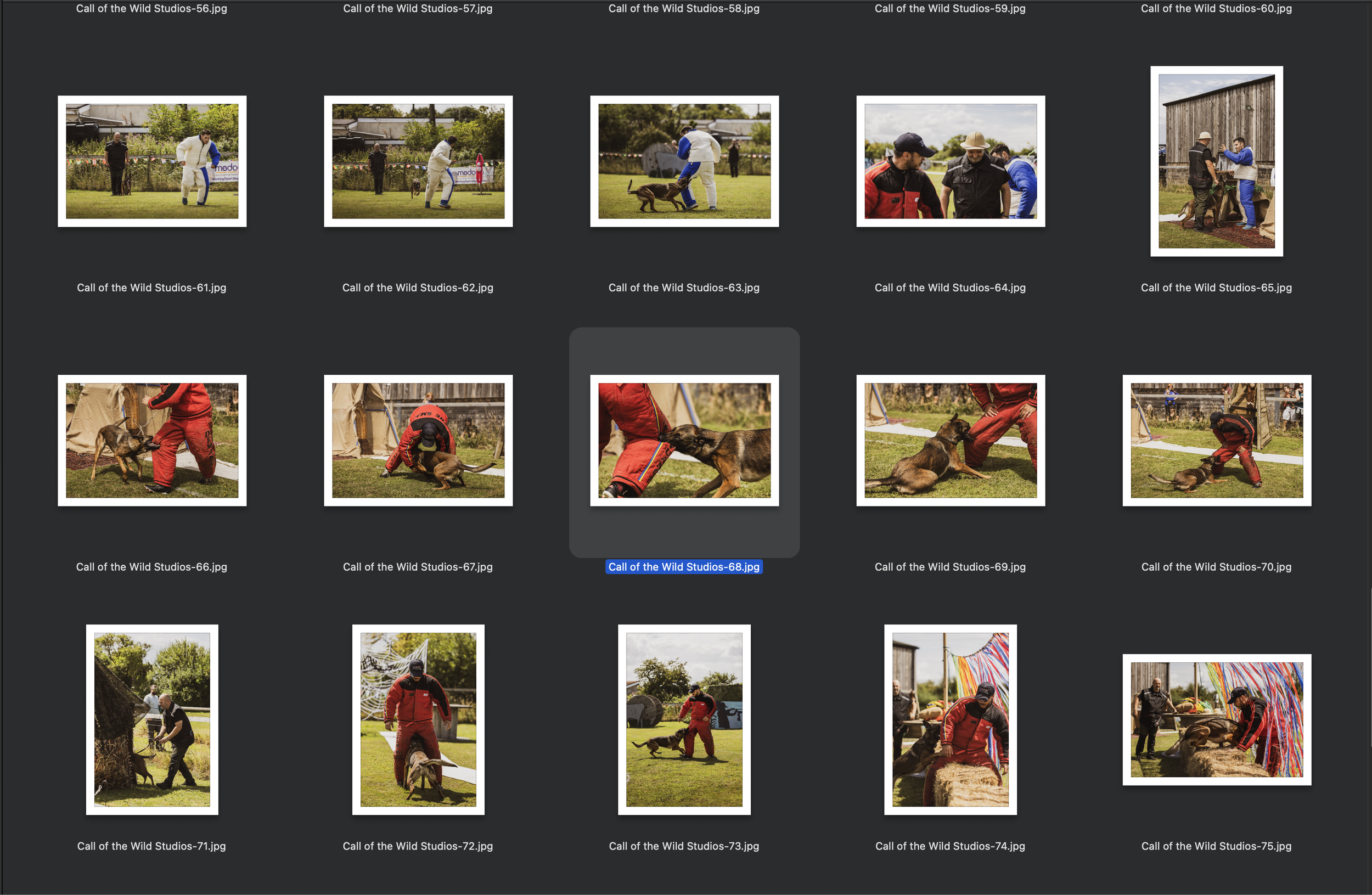 Screenshot 2024-08-15 at 12.30.32.png