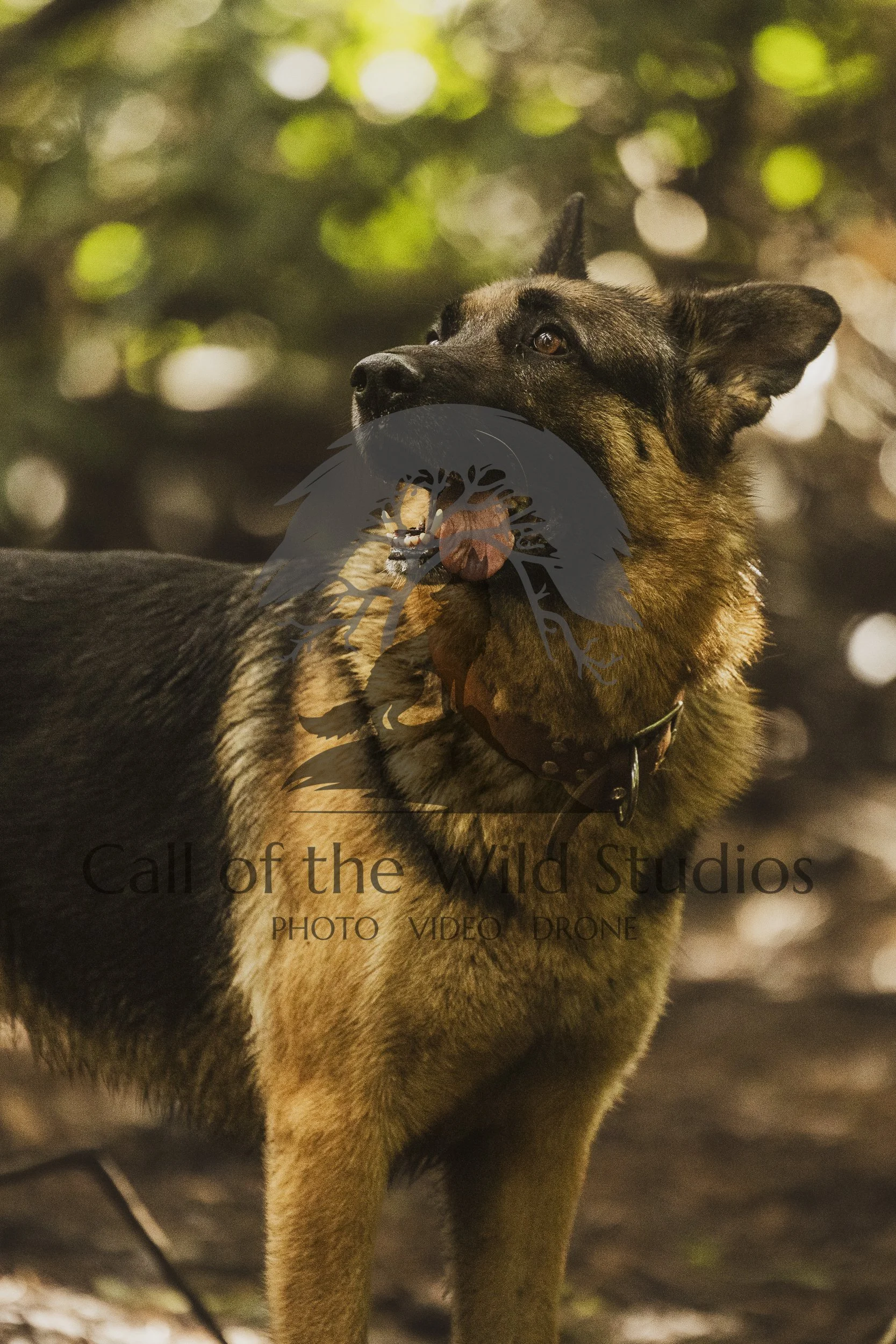 High Quality Image File